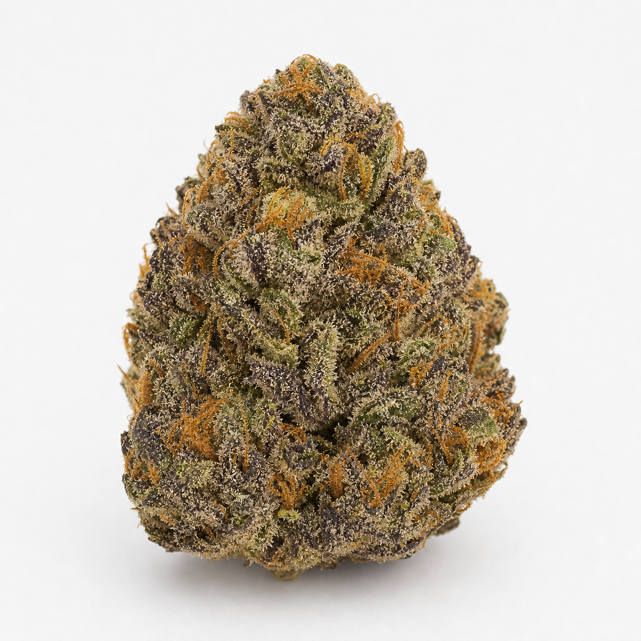 Cogollo de 00 Cheese Auto de 00 Seeds sobre fondo blanco, con forma compacta, tonos verdes y morados y abundantes pelos anaranjados.