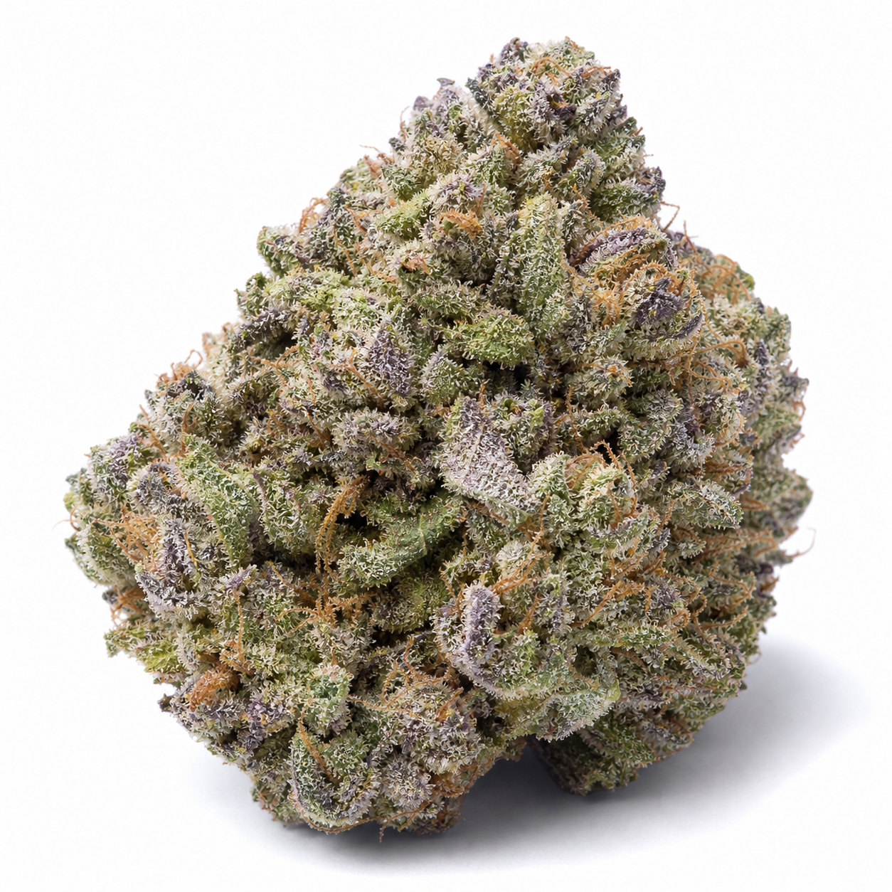 Cogollo de 24K Gold de DNA Genetics en primer plano, con tonos verdes y morados, filamentos anaranjados y abundantes tricomas.