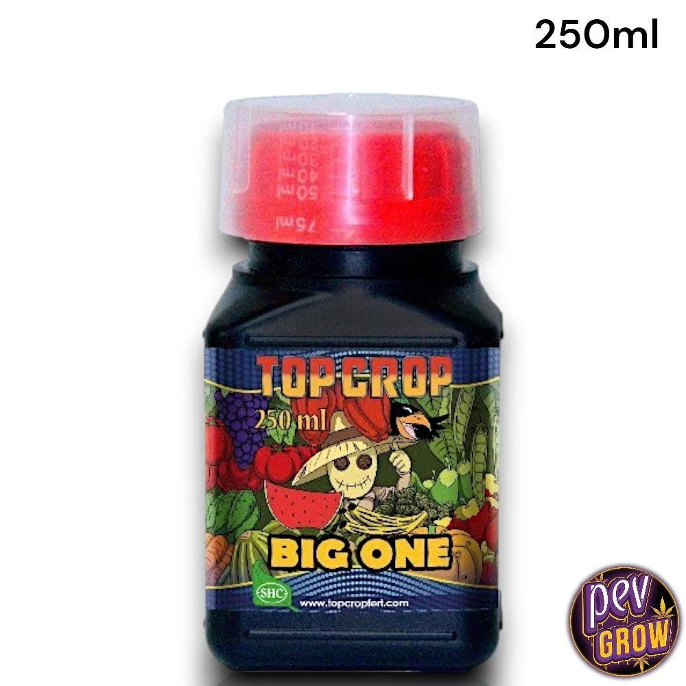 Botella negra de Big One Top Crop de 250 ml, con etiqueta ilustrada de colores y tapón rojo cubierto por un dosificador translúcido.