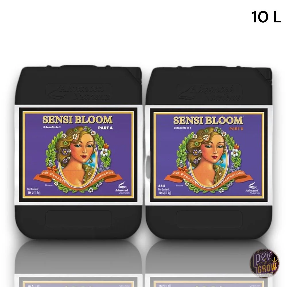 Garrafas negras Sensi Bloom de Advanced Nutrients, partes A y B, con etiquetas moradas y la indicación de 10 L sobre fondo blanco.