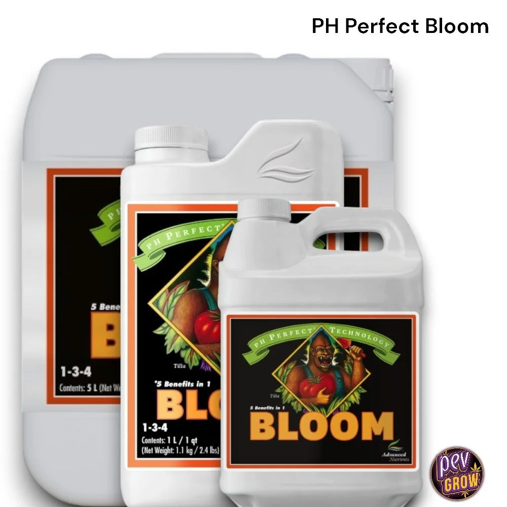 Selección de formatos de Bloom pH Perfect de Advanced Nutrients, con envases blancos de distintos tamaños y etiquetas negras y naranjas.