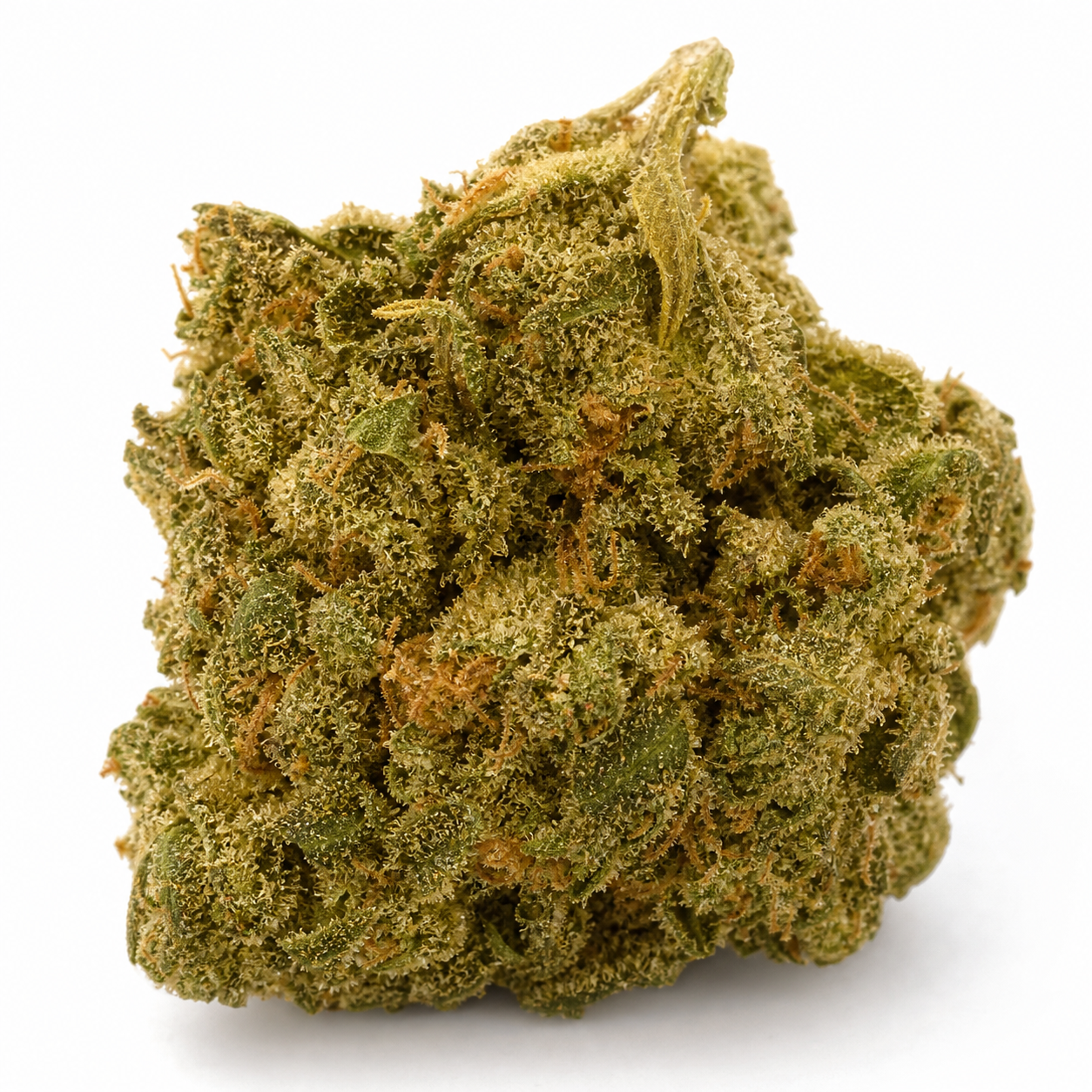 Cogollo de Afghan Skunk Expert de Expert Seeds en primer plano, con hojas verdes, filamentos anaranjados y superficie cubierta de tricomas.