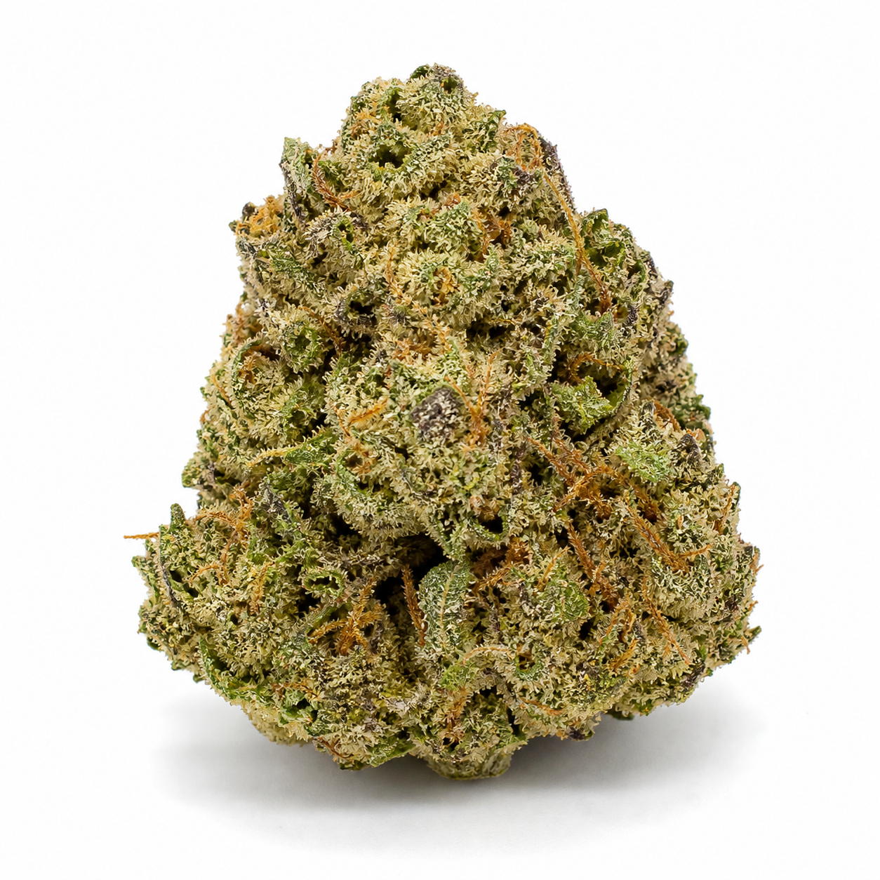 Cogollo de AK-49 Auto de Vision Seeds en primer plano, compacto y verde, con filamentos anaranjados y abundantes puntos blanquecinos.