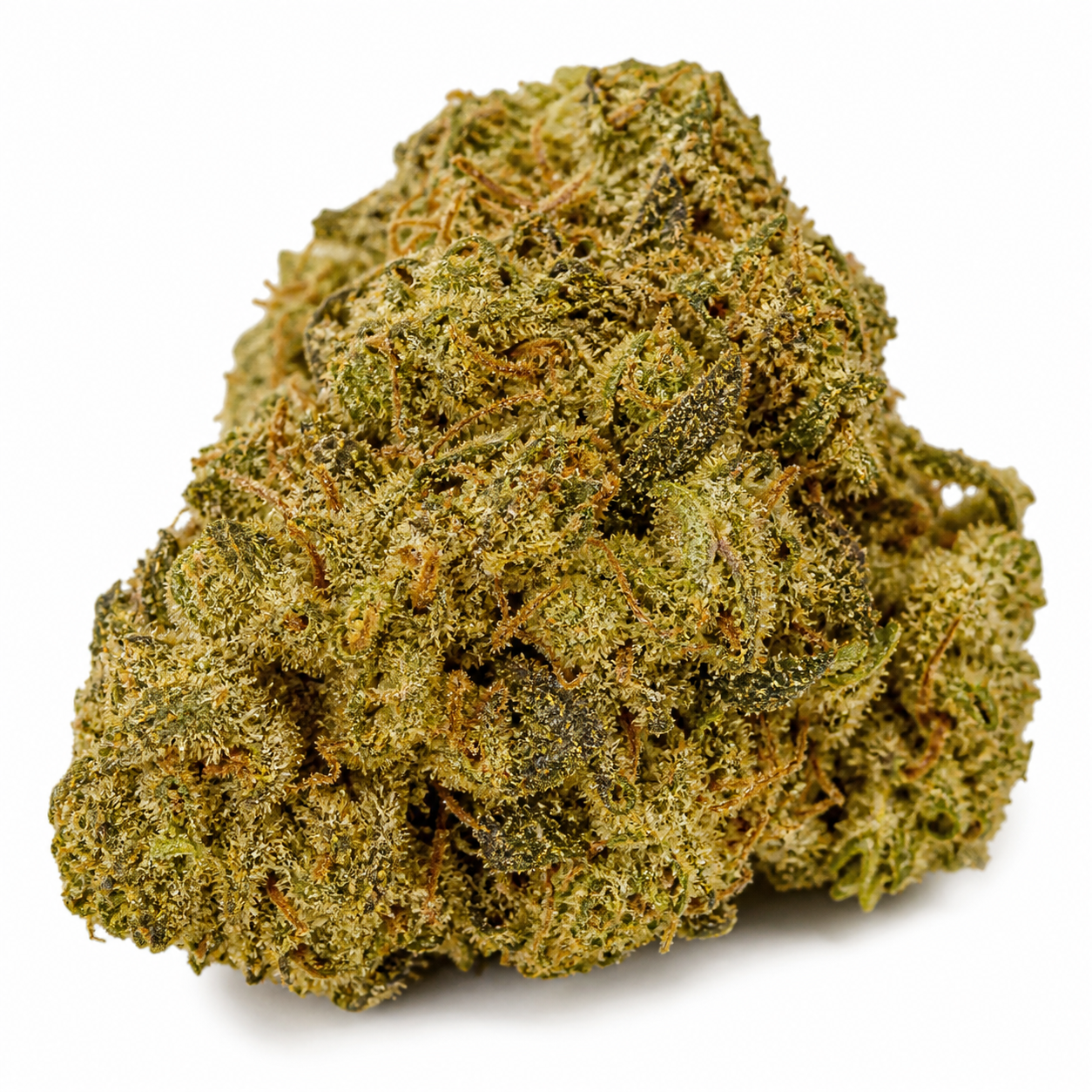 Primer plano de un cogollo de AK Auto de Blimburn Seeds, verde oliva, con filamentos anaranjados y superficie cubierta de tricomas.