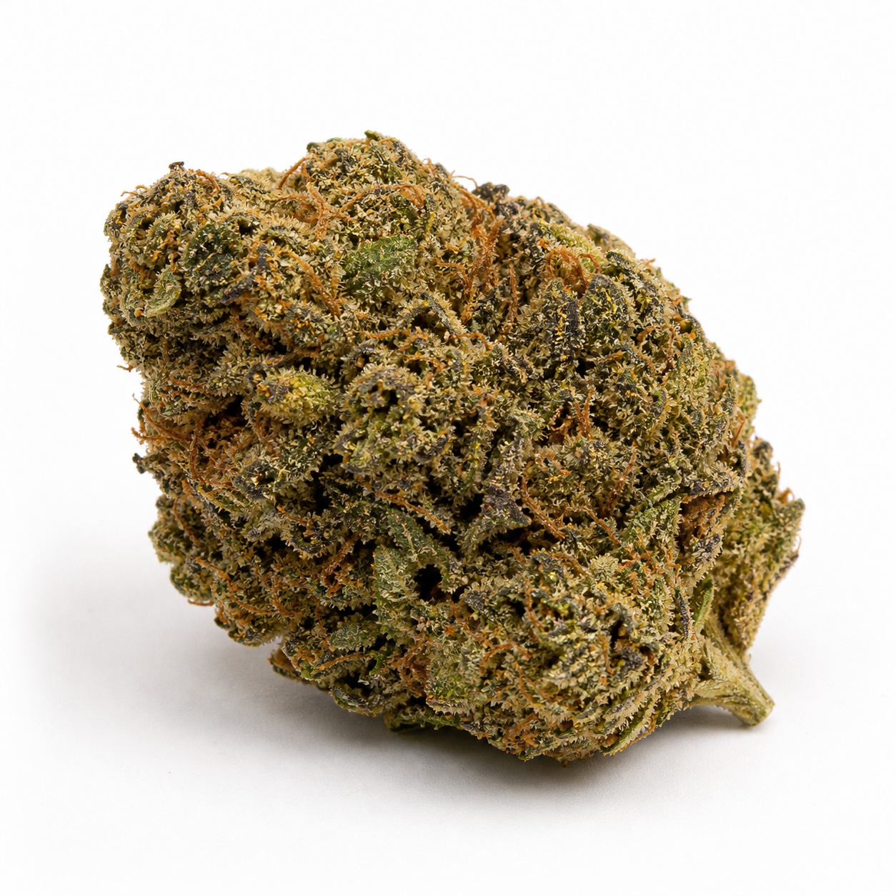 Cogollo de AK 47 Feminizada de Serious Seeds, de perfil inclinado, con hojas verdes oscuras, pistilos anaranjados y tallo visible.