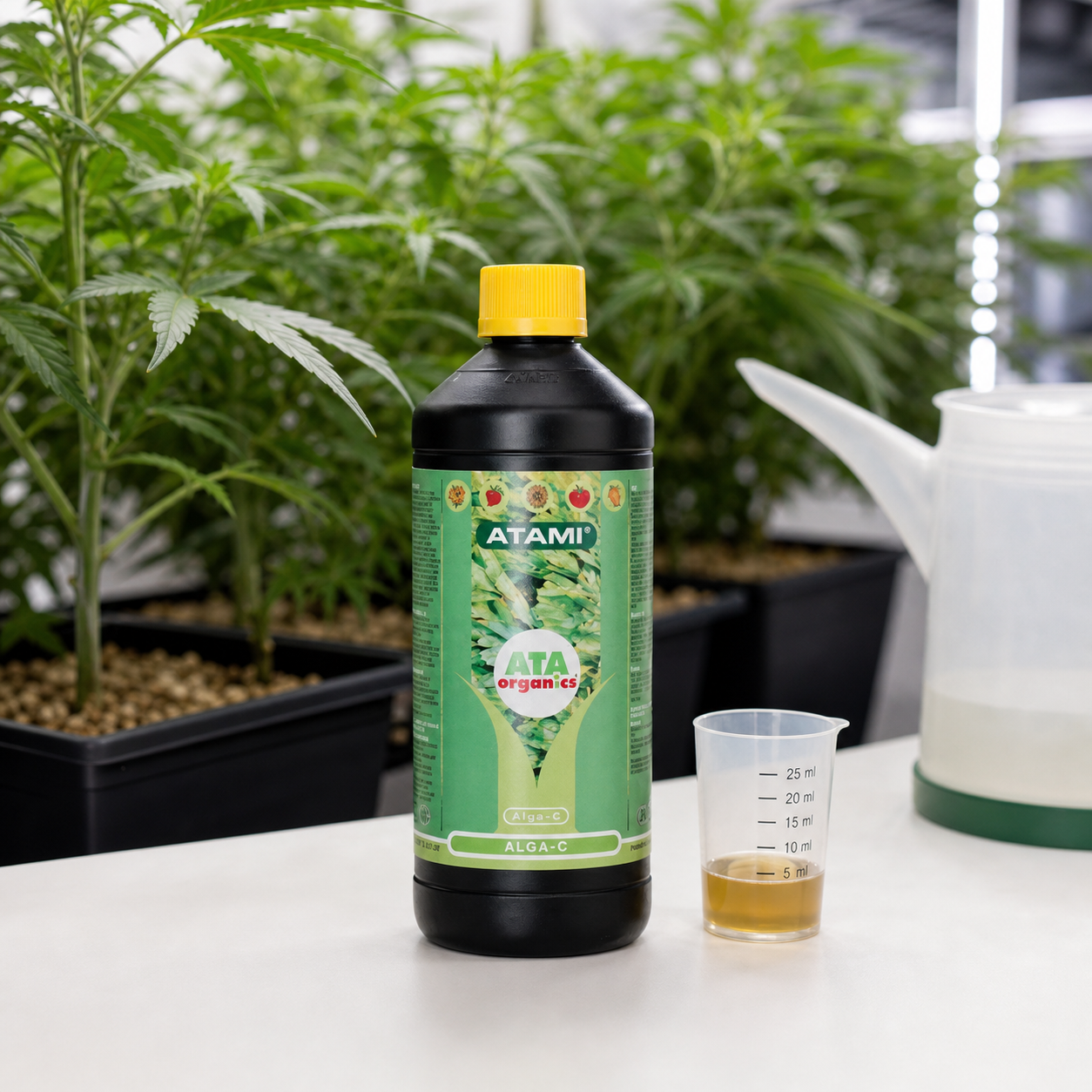 Botella de Atami Alga-C con tapón amarillo junto a un vaso graduado con líquido ámbar y una regadera, con plantas al fondo. Botella de Atami Alga-C con tapón amarillo junto a un vaso graduado con líquido ámbar y una regadera, con plantas al fondo.