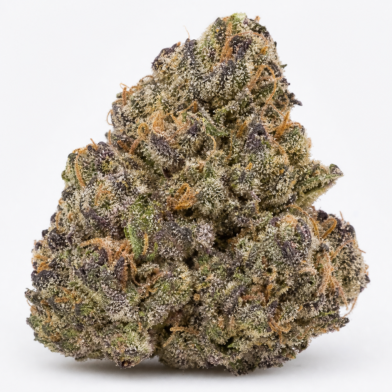 Primer plano de un cogollo de Alien Moonrocks, con zonas verdes y moradas, filamentos anaranjados y abundantes tricomas sobre fondo blanco.