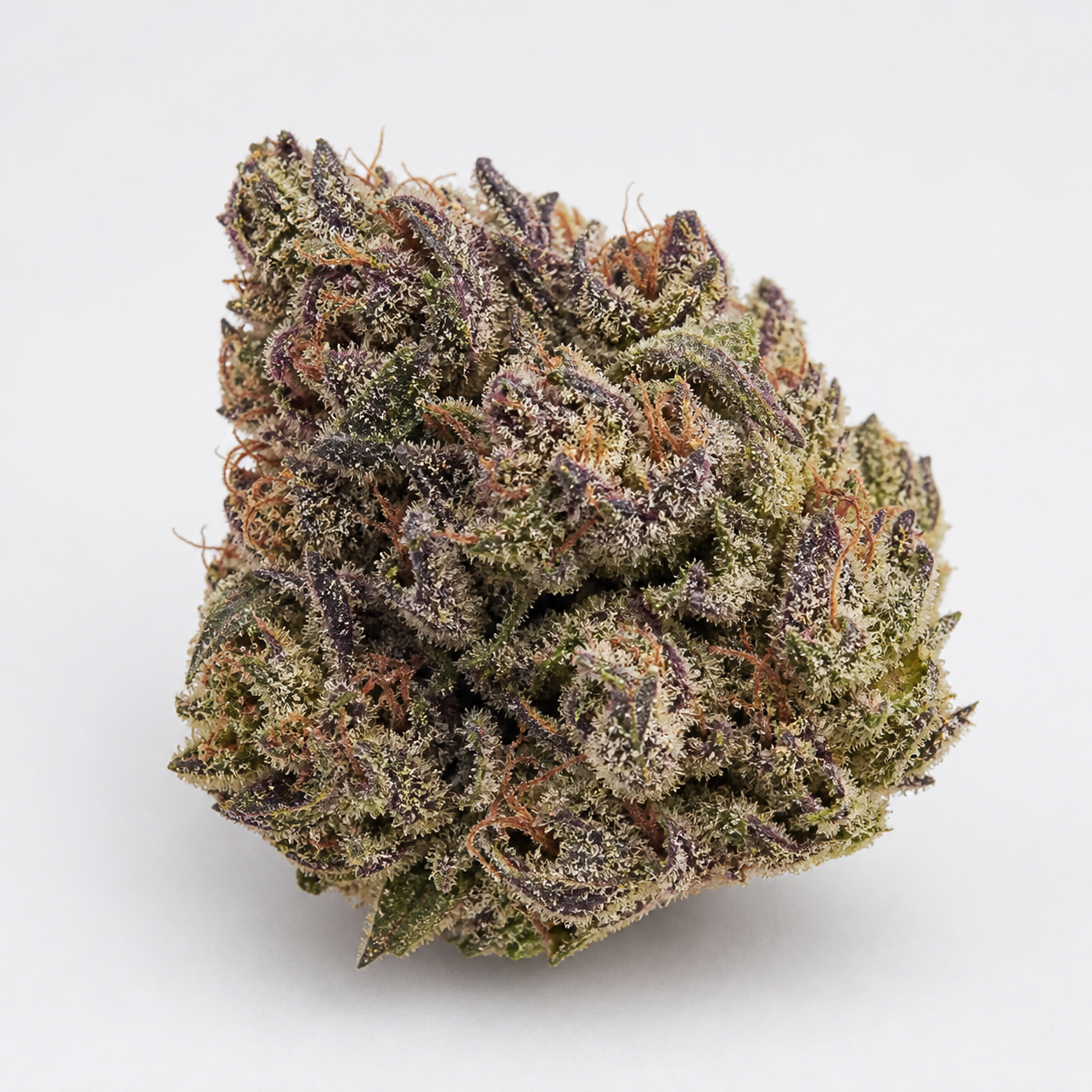 Cogollo de American Pie de Pyramid Seeds en primer plano, con hojas verdes y moradas, filamentos anaranjados y abundantes tricomas.