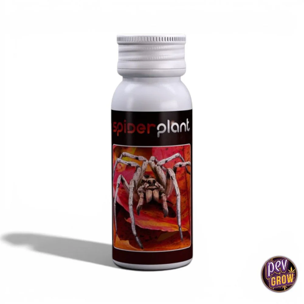 Frasco de Spider Plant con tapón plateado de rosca y etiqueta negra con una araña sobre un fondo rojo y naranja.