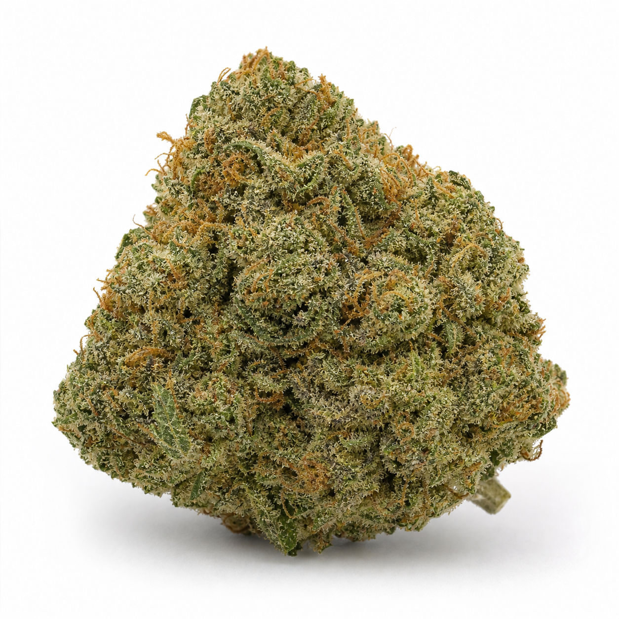 Cogollo de Amnesia Platinum Auto de Bulk Seeds, compacto y ancho, con tonos verdes, filamentos anaranjados y superficie resinosa.