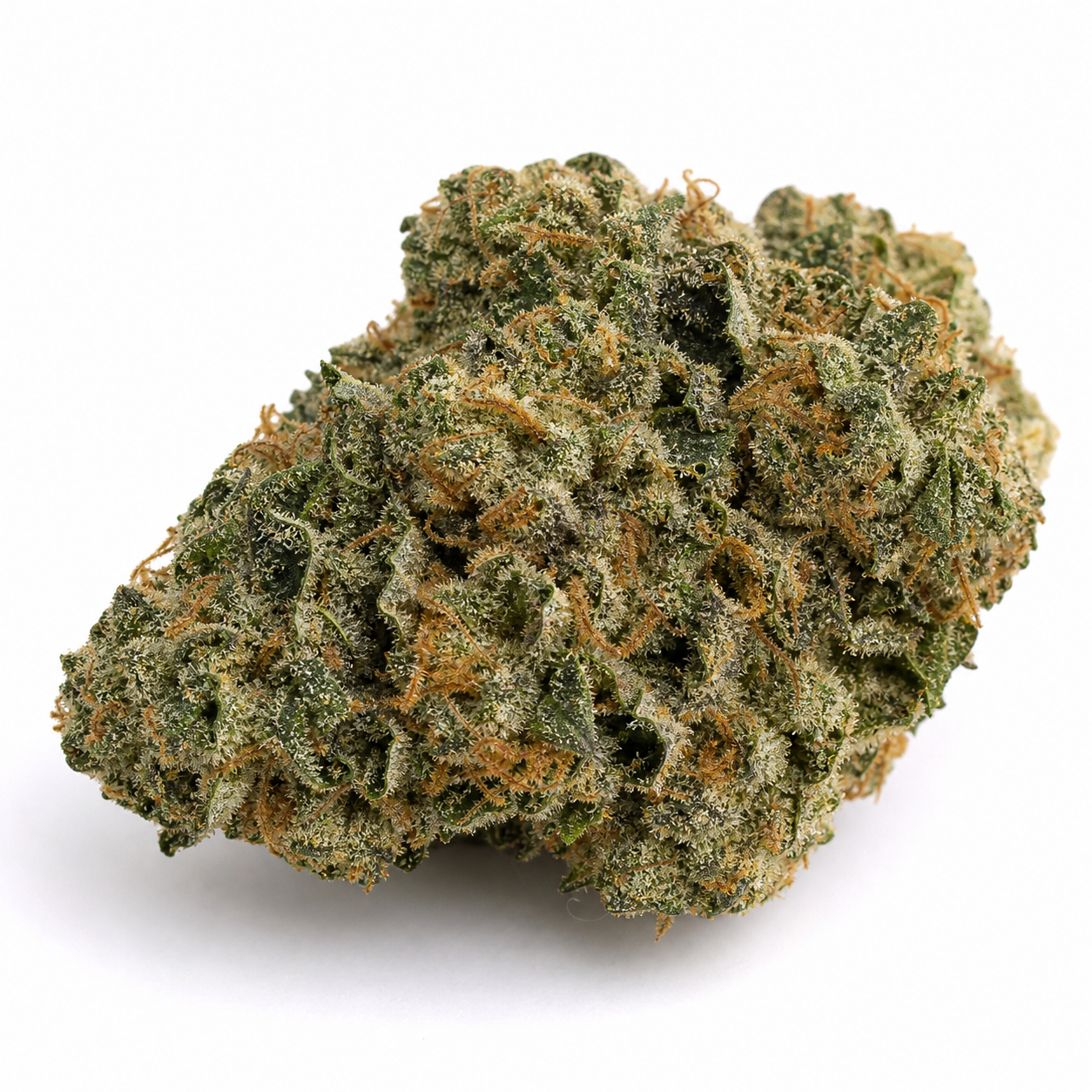 Cogollo de Amnesia Gold Auto de Pyramid Seeds en primer plano, con hojas verdes, pistilos anaranjados y tricomas sobre fondo blanco.