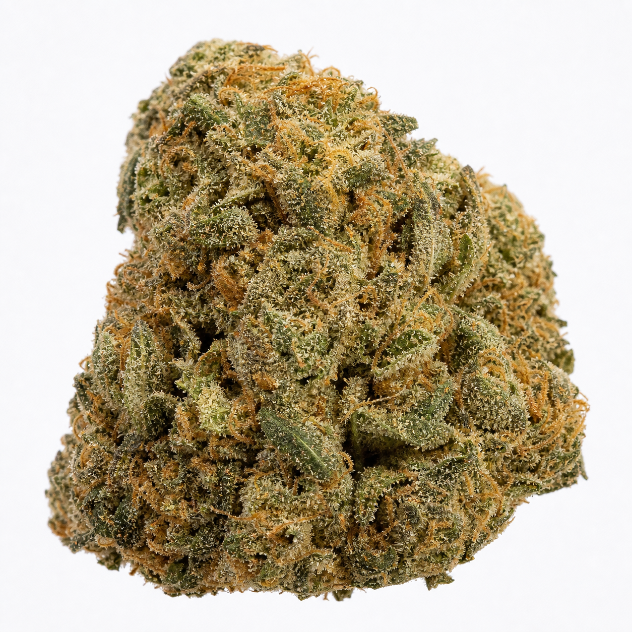 Primer plano de un cogollo de Amnesia Haze Auto de Expert Seeds, verde con filamentos anaranjados y cobertura de tricomas sobre fondo blanco.