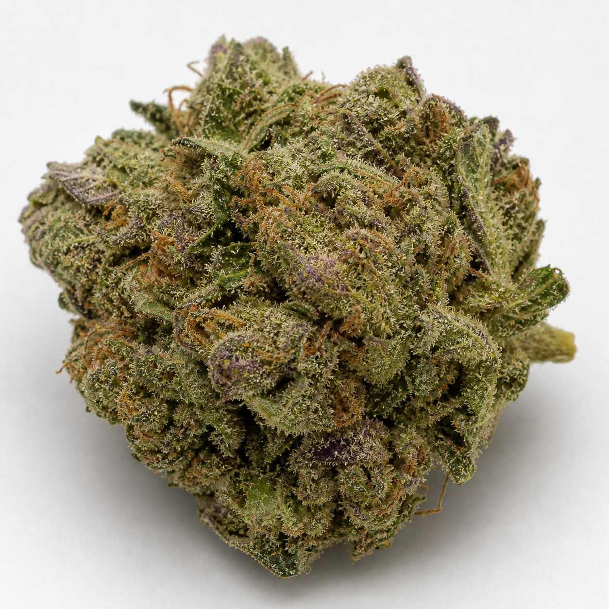 Cogollo de Amnesia Haze Auto de Vision Seeds en primer plano, con hojas verdes, matices morados, pistilos anaranjados y tricomas.
