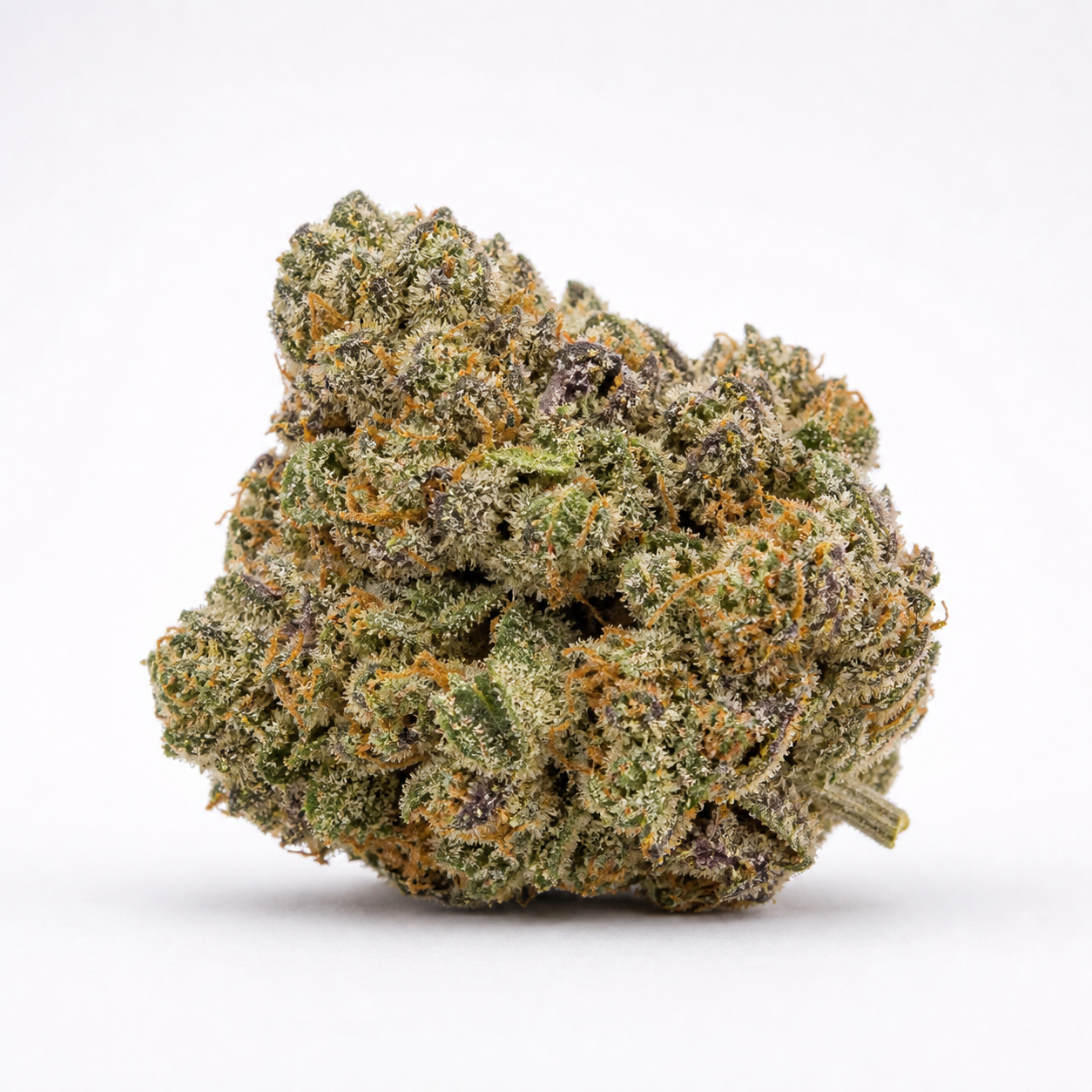 Cogollo de Amnesia Haze de Spain Seeds en primer plano, con tonos verdes y morados, filamentos anaranjados y superficie blanquecina.