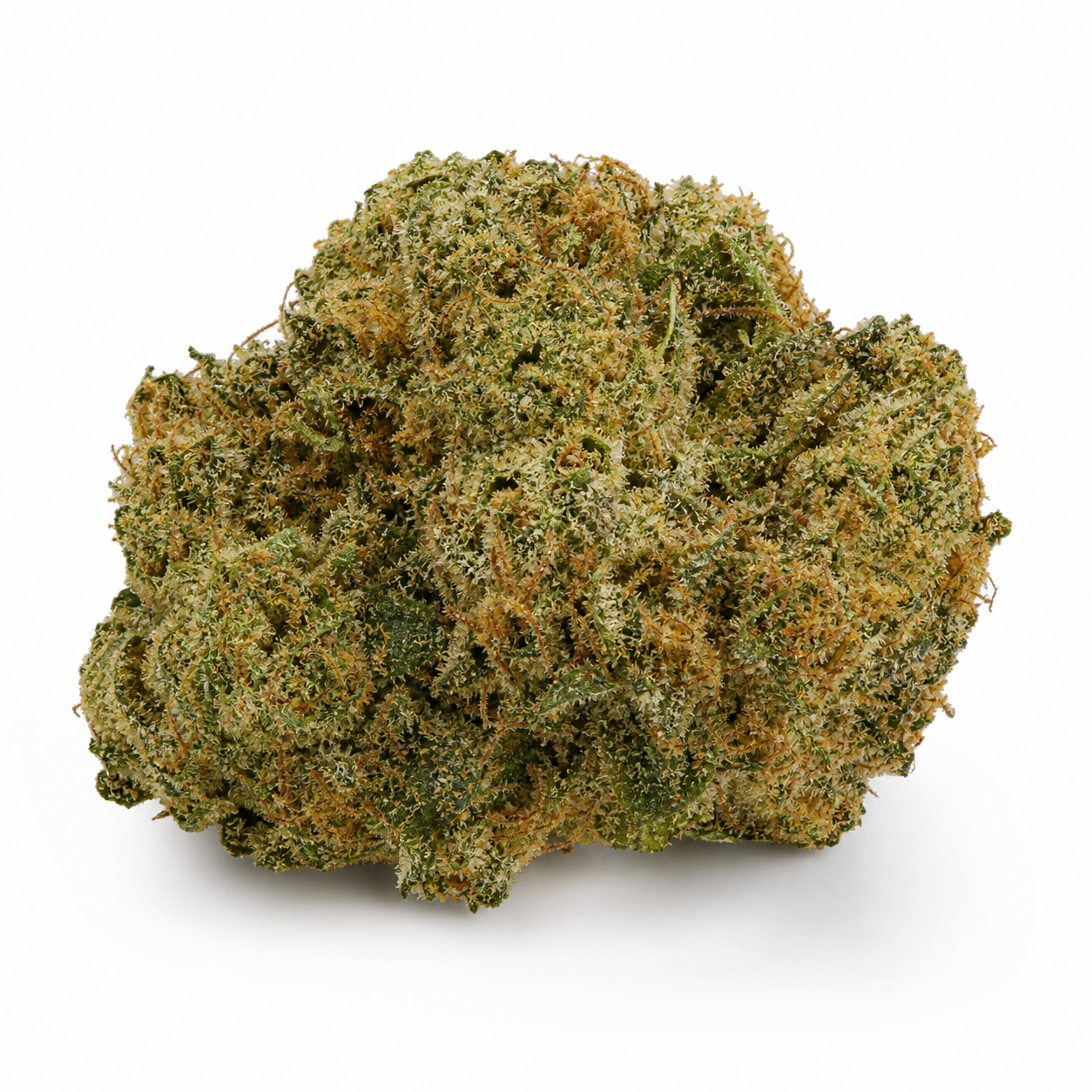 Primer plano de un cogollo de Amnesia Haze de Expert Seeds, verde con filamentos anaranjados y abundantes pequeños cristales visibles. Primer plano de un cogollo de Amnesia Haze de Expert Seeds, verde con filamentos anaranjados y abundantes pequeños cristales visibles.