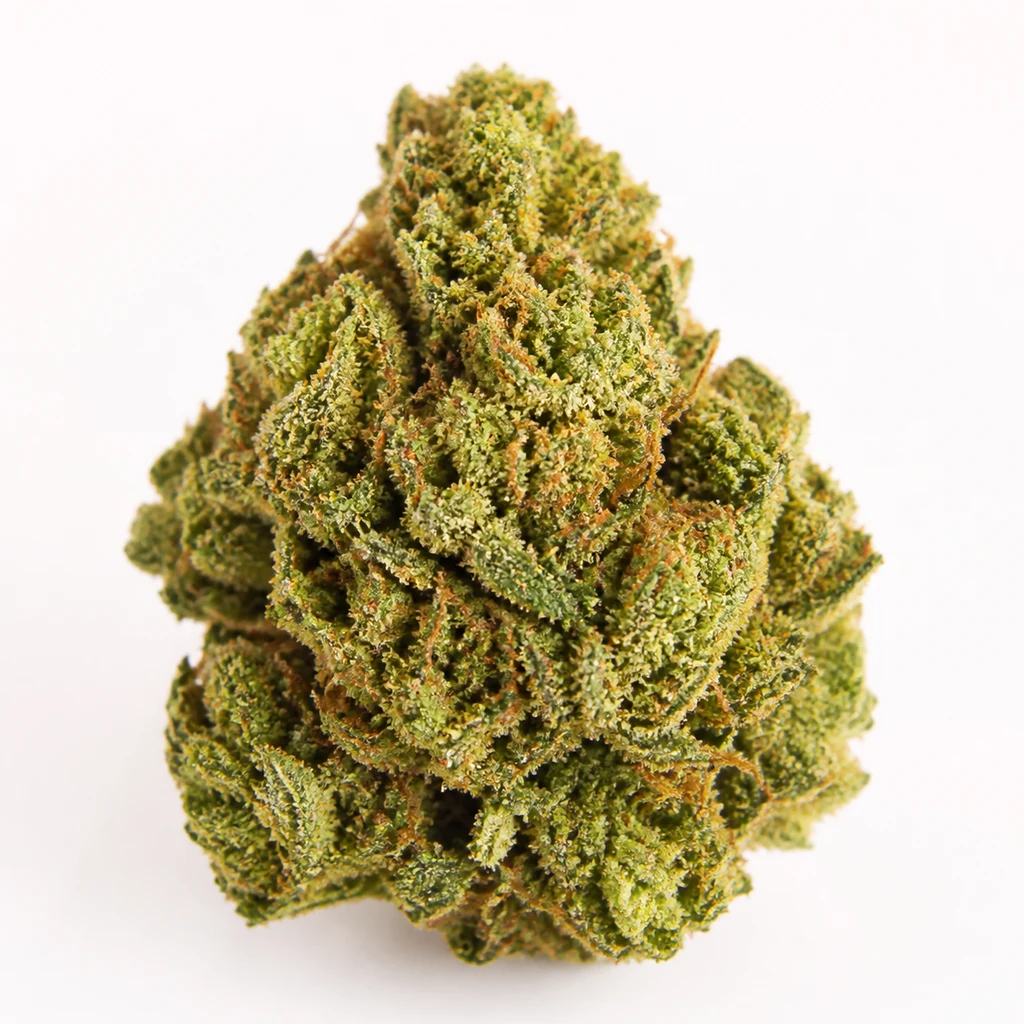 Ilustración de un cogollo para la ficha de Amnesia Lemon Kush Feminizada, de forma cónica, verde y con filamentos anaranjados sobre fondo blanco.