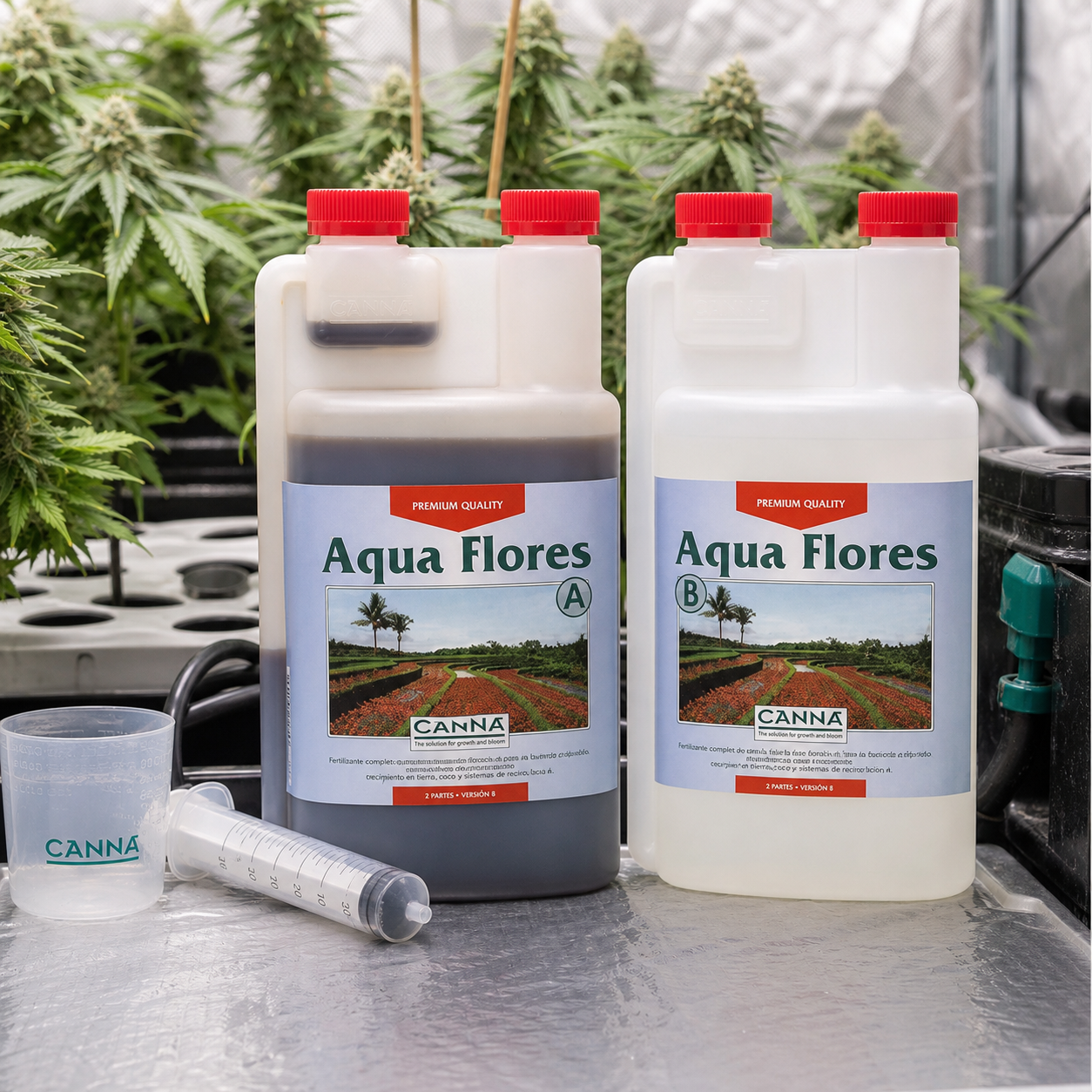 Envases A y B de Canna Aqua Flores con tapones rojos, junto a un vaso medidor y una jeringa, con plantas al fondo. Envases A y B de Canna Aqua Flores con tapones rojos, junto a un vaso medidor y una jeringa, con plantas al fondo.
