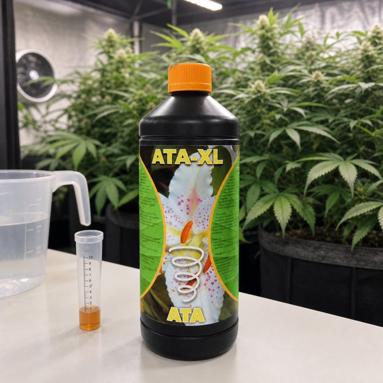 Botella de ATA-XL de Atami con tapón naranja, junto a una probeta con líquido y una jarra, ante plantas de cannabis en interior. Botella de ATA-XL de Atami con tapón naranja, junto a una probeta con líquido y una jarra, ante plantas de cannabis en interior.
