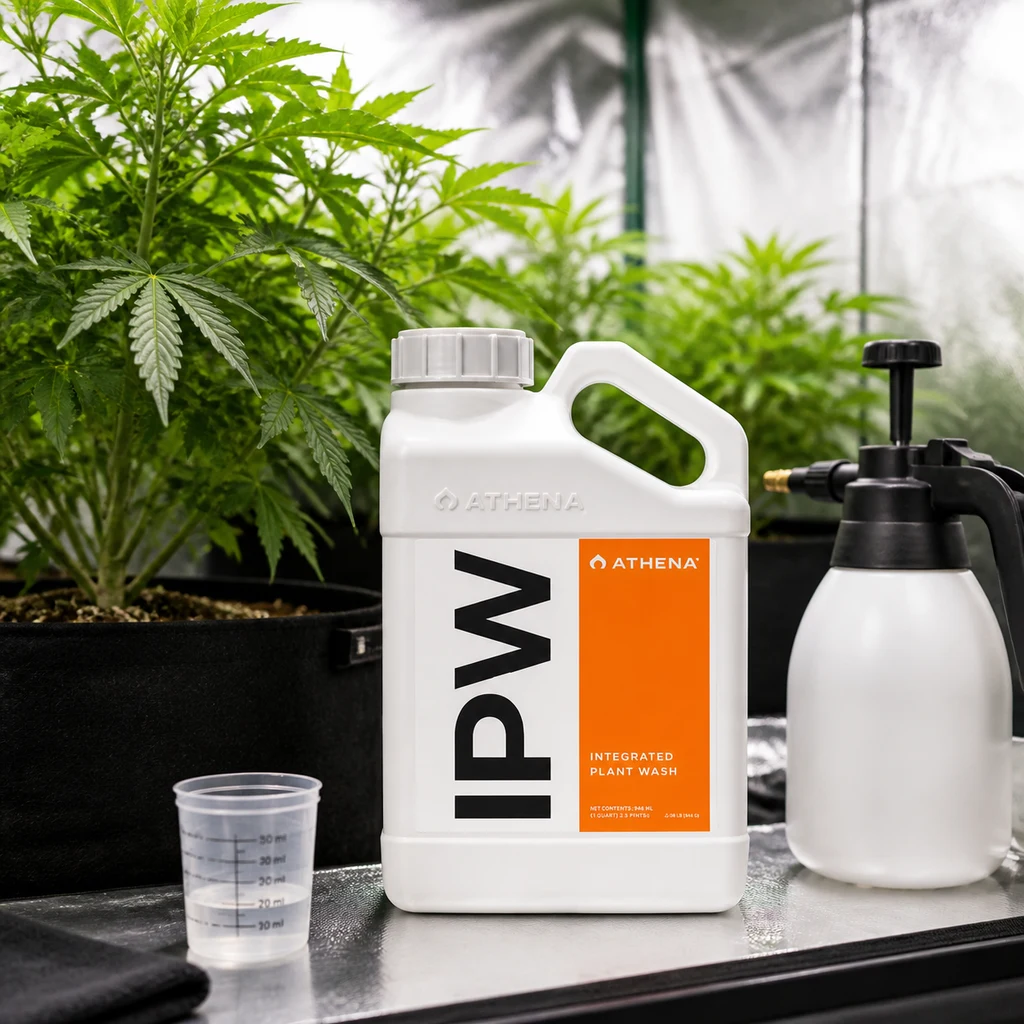 Garrafa blanca de Athena IPW con etiqueta naranja, junto a un pulverizador y un vaso medidor delante de plantas de cannabis.