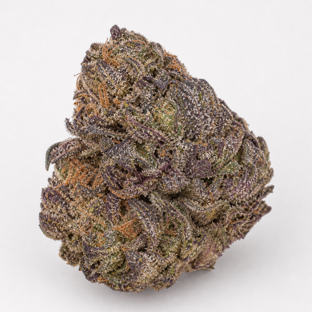 Cogollo de Atomic Blue Dream Feminizada en primer plano, con tonos morados y verdes, filamentos anaranjados y abundantes tricomas sobre fondo claro.