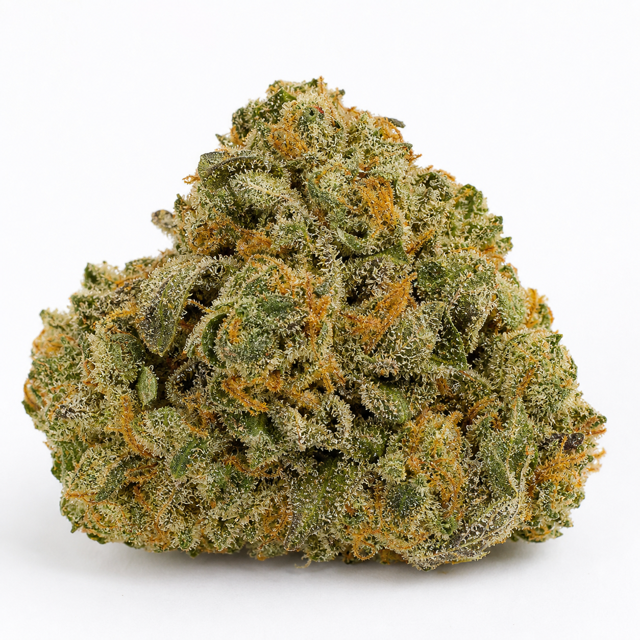 Cogollo de Auto AK 48 de Nirvana Seeds sobre fondo blanco, de forma compacta y ancha, con tricomas claros y pistilos anaranjados.