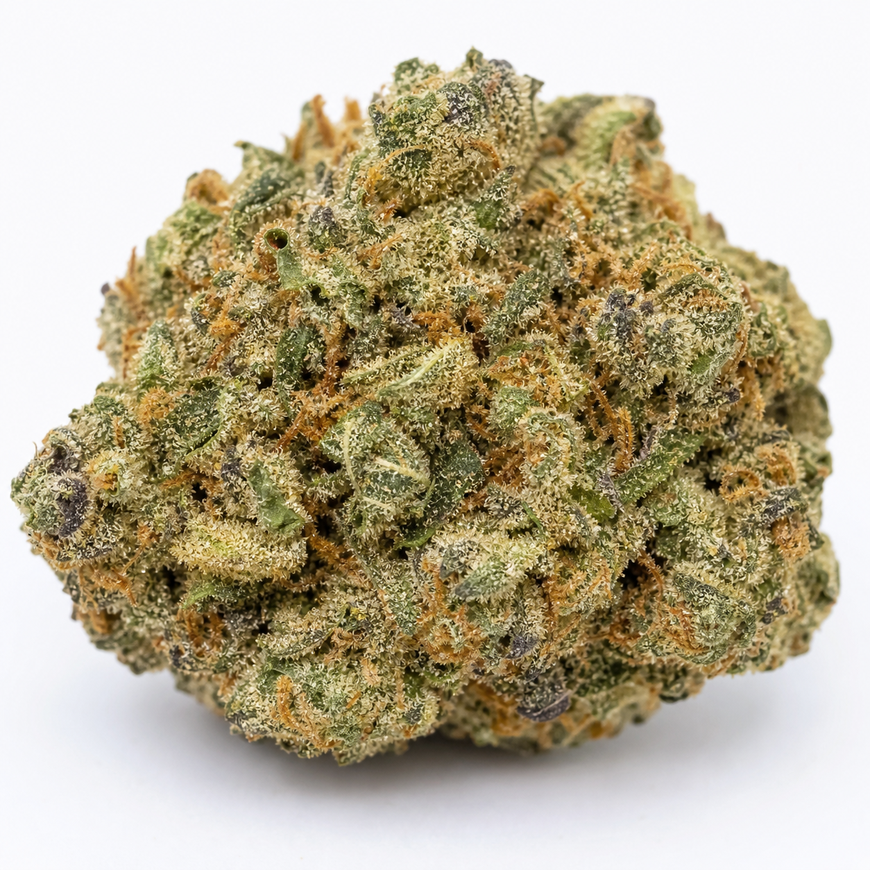 Cogollo de Alien Gas XXL Auto en primer plano sobre fondo blanco, de forma redondeada, con tonos verdes y morados y pistilos naranjas.
