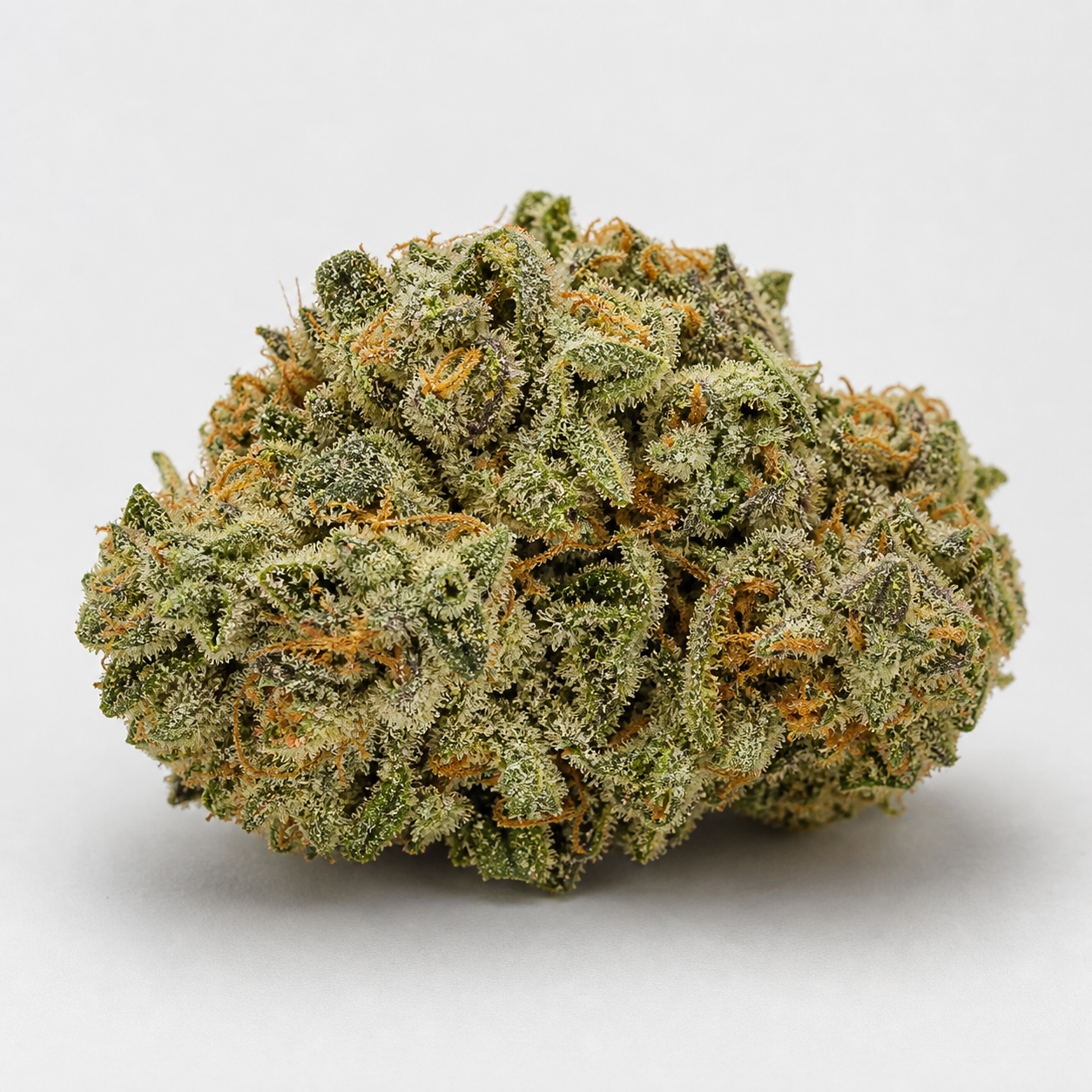 Cogollo de Auto Animal Zookies de Advanced Seeds, de forma redondeada, con hojas verdes, pistilos anaranjados y abundantes tricomas.
