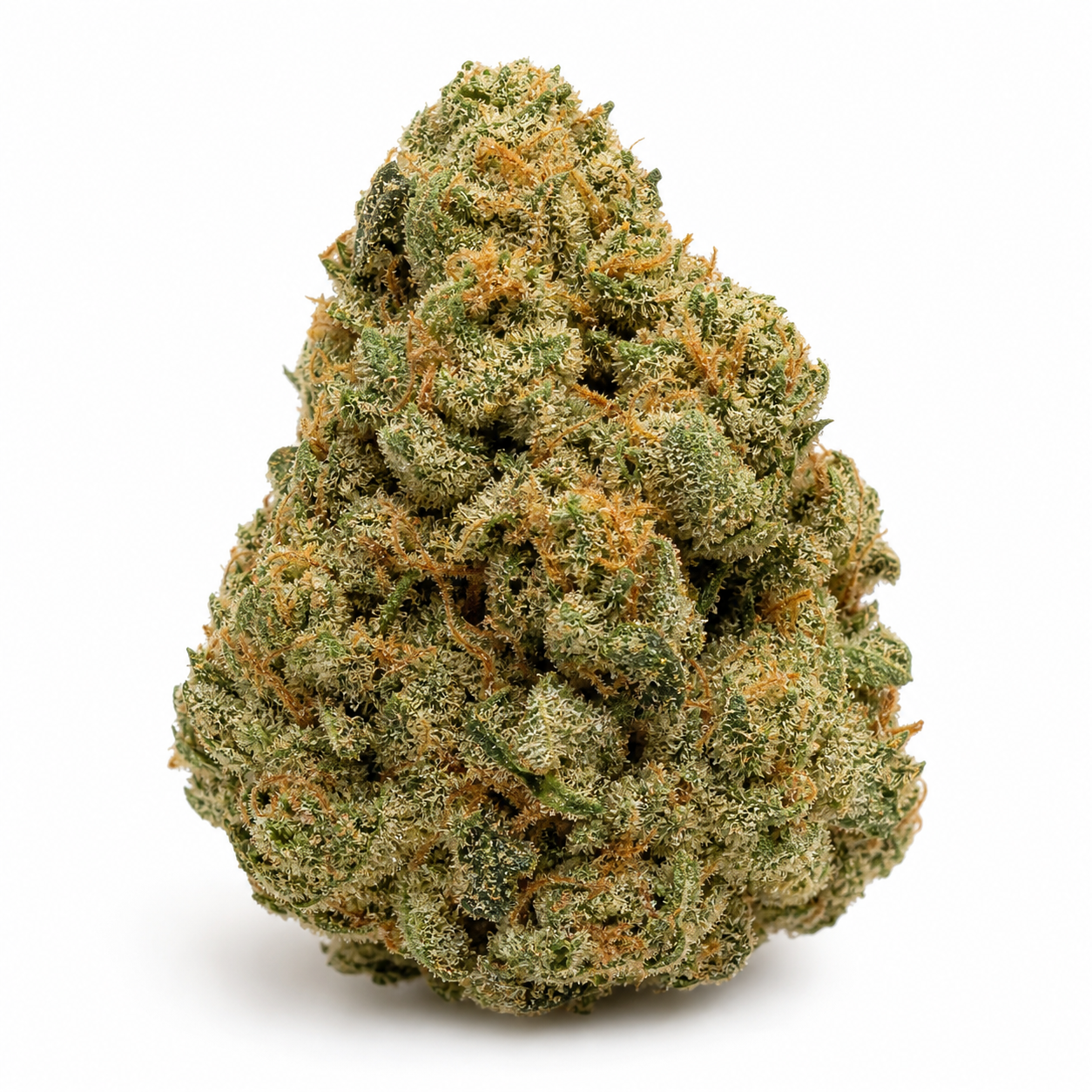 Cogollo de Auto Cheese Berry de 00 Seeds sobre fondo blanco, de forma cónica, con tonos verdes, filamentos anaranjados y tricomas claros.