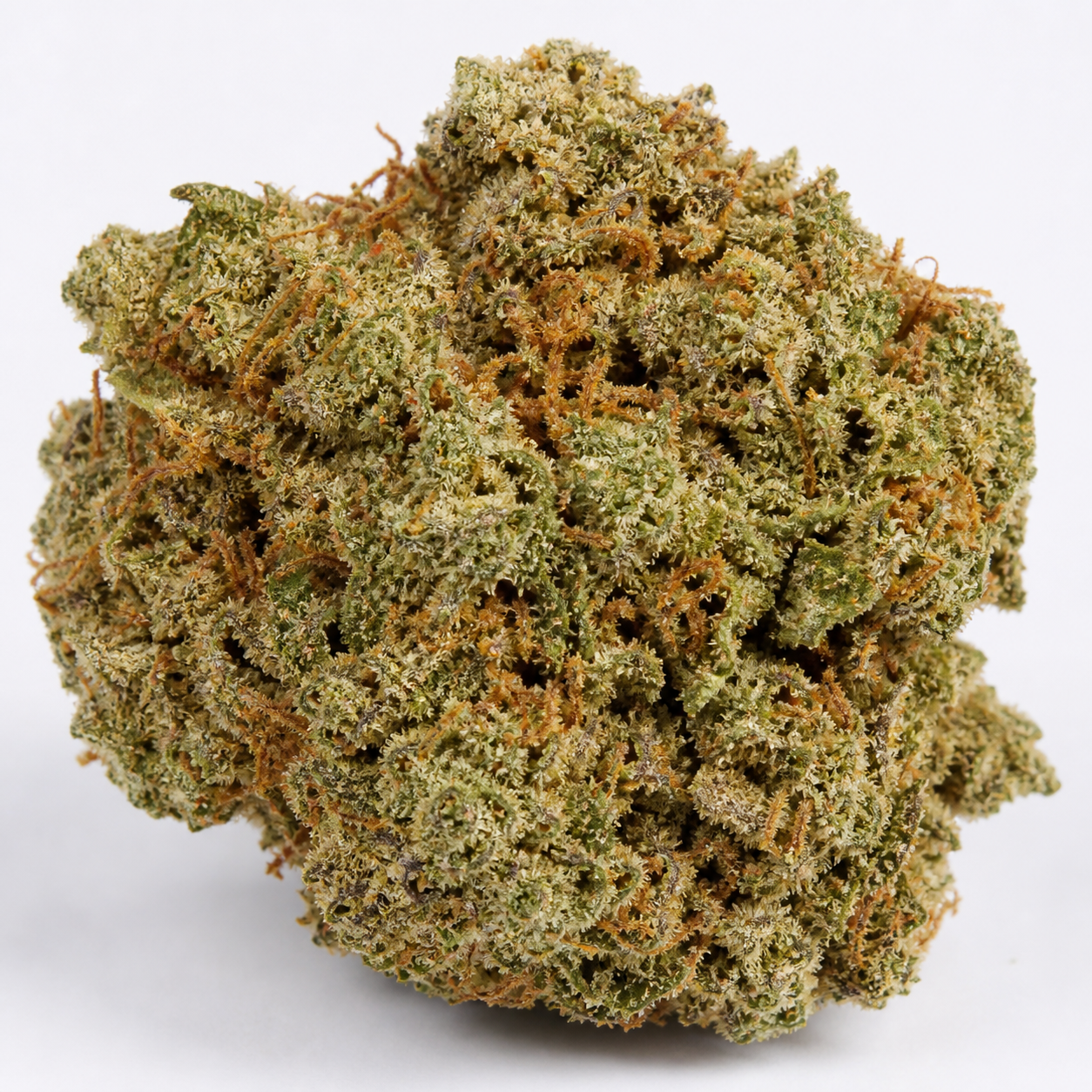 Primer plano de un cogollo de Auto Chunkadelic de Humboldt Seed Company, verde con filamentos anaranjados y abundantes tricomas claros.