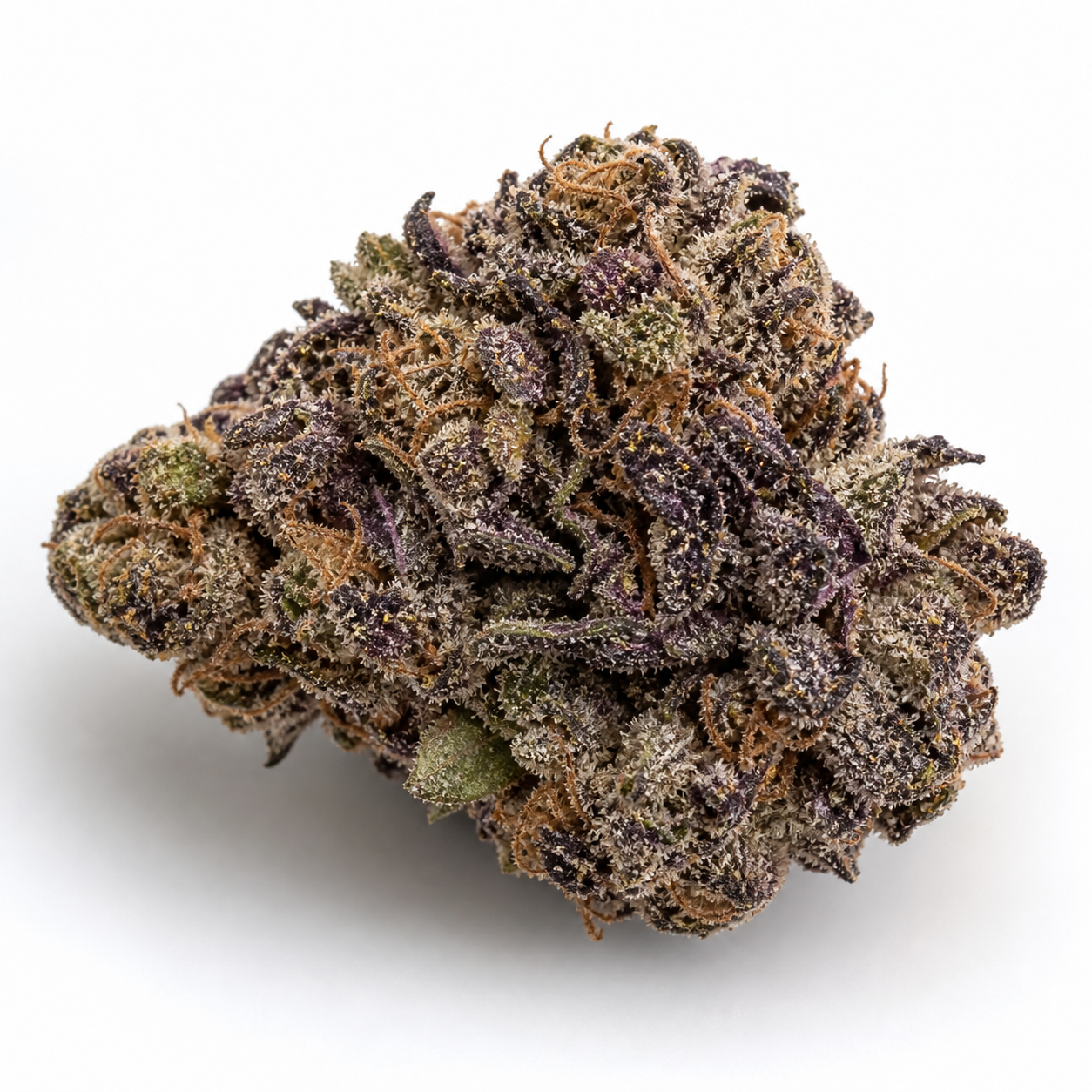 Cogollo de Auto Gelato Mint de 00 Seeds sobre fondo blanco, con tonos morados y verdes, filamentos anaranjados y abundantes tricomas.