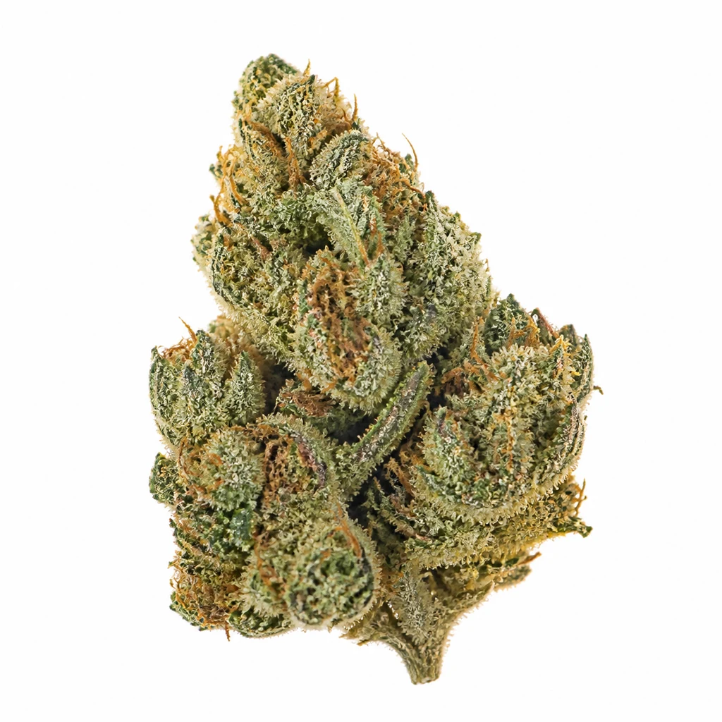 Ilustración de un cogollo verde alargado con filamentos anaranjados y tricomas claros para la ficha de Auto Georgia Pie de Advanced Seeds.