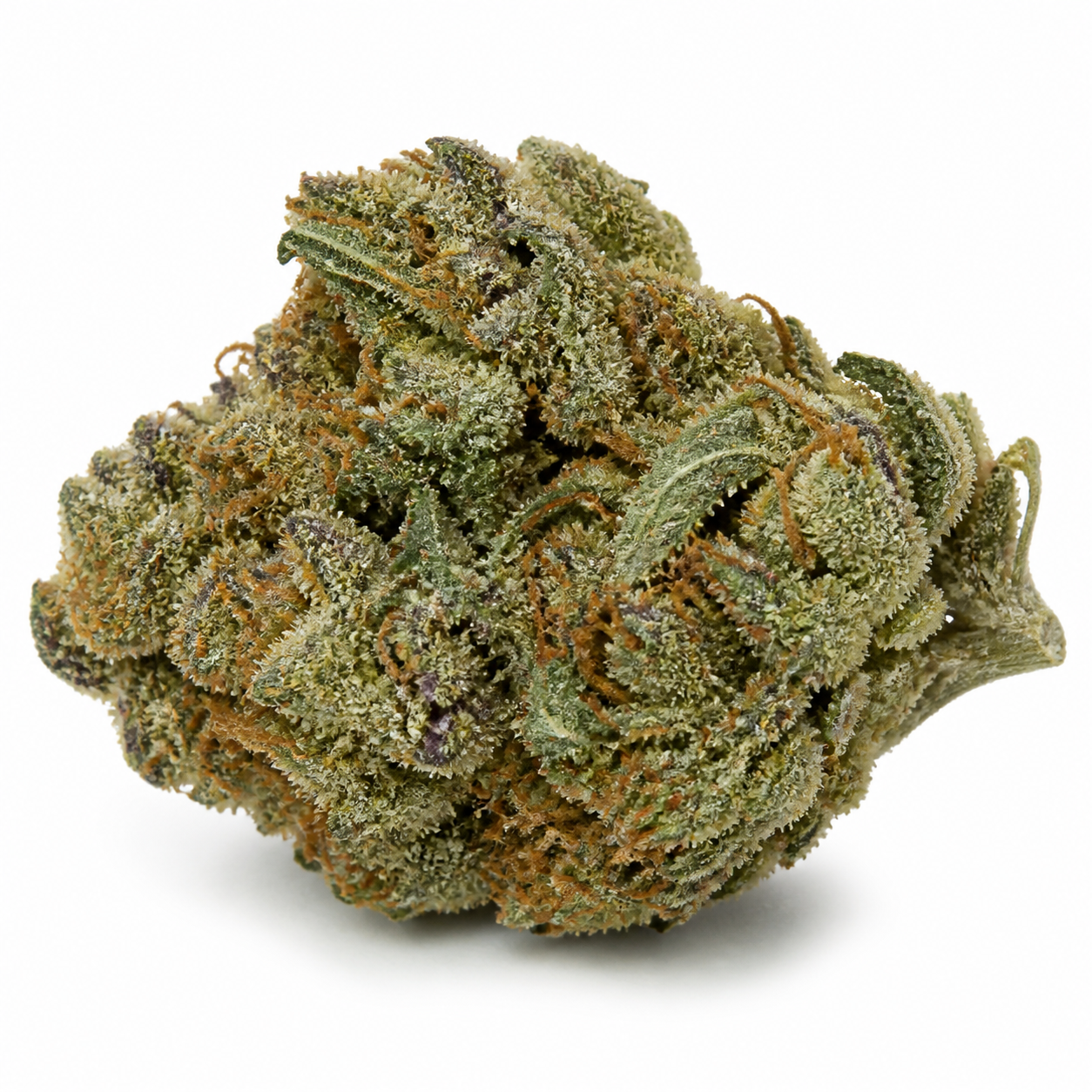 Cogollo de Auto HG23 Michael Jordan en primer plano, con hojas verdes, zonas violáceas, filamentos naranjas y abundantes tricomas.
