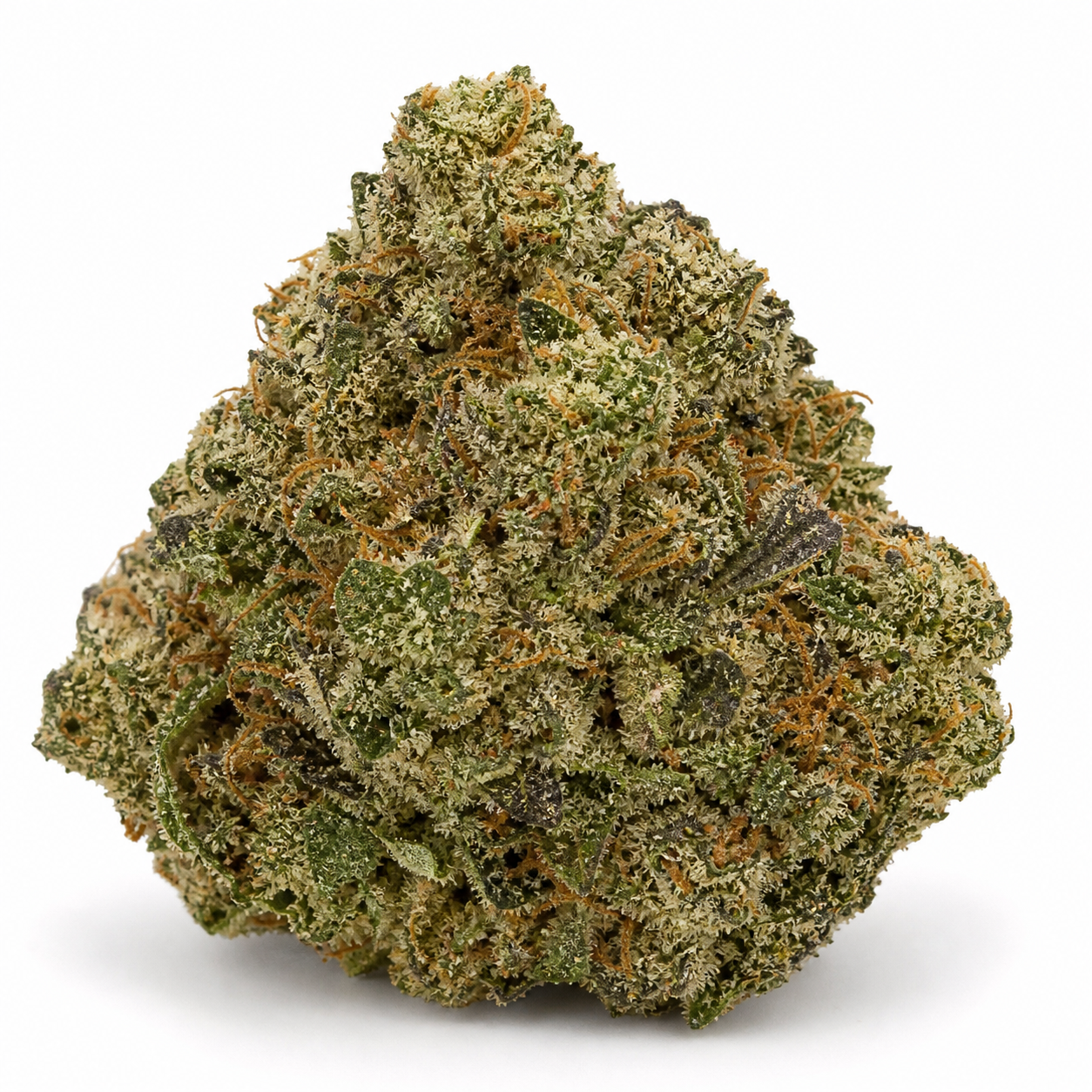 Cogollo de Auto Lemon Kix de Dutch Passion en primer plano, de contorno ancho, con hojas verdes, pistilos anaranjados y abundantes tricomas.