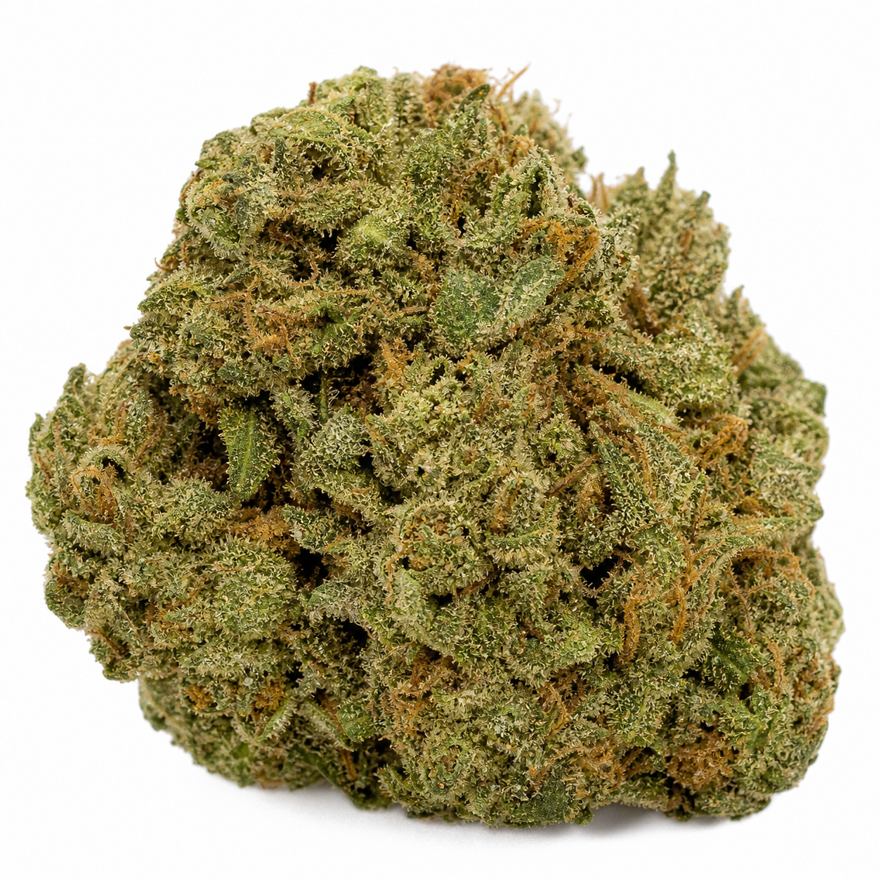 Primer plano de un cogollo de Auto MAC Dawg XXL de Silent Seeds, con hojas verdes, filamentos anaranjados y superficie resinosa sobre fondo blanco.