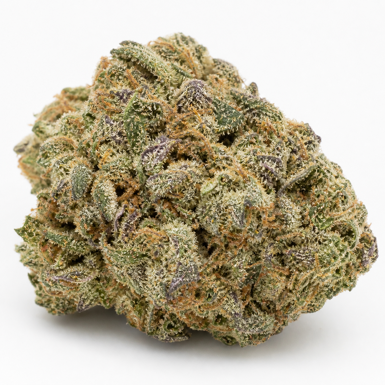 Cogollo de Auto Mandarin Cookies de forma redondeada, con hojas verdes y moradas, pistilos anaranjados y abundantes tricomas sobre fondo blanco.