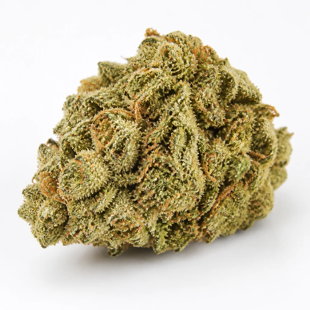 Ilustración de un cogollo verde con filamentos anaranjados y abundantes tricomas sobre fondo blanco, para la ficha de Auto Master Kush.