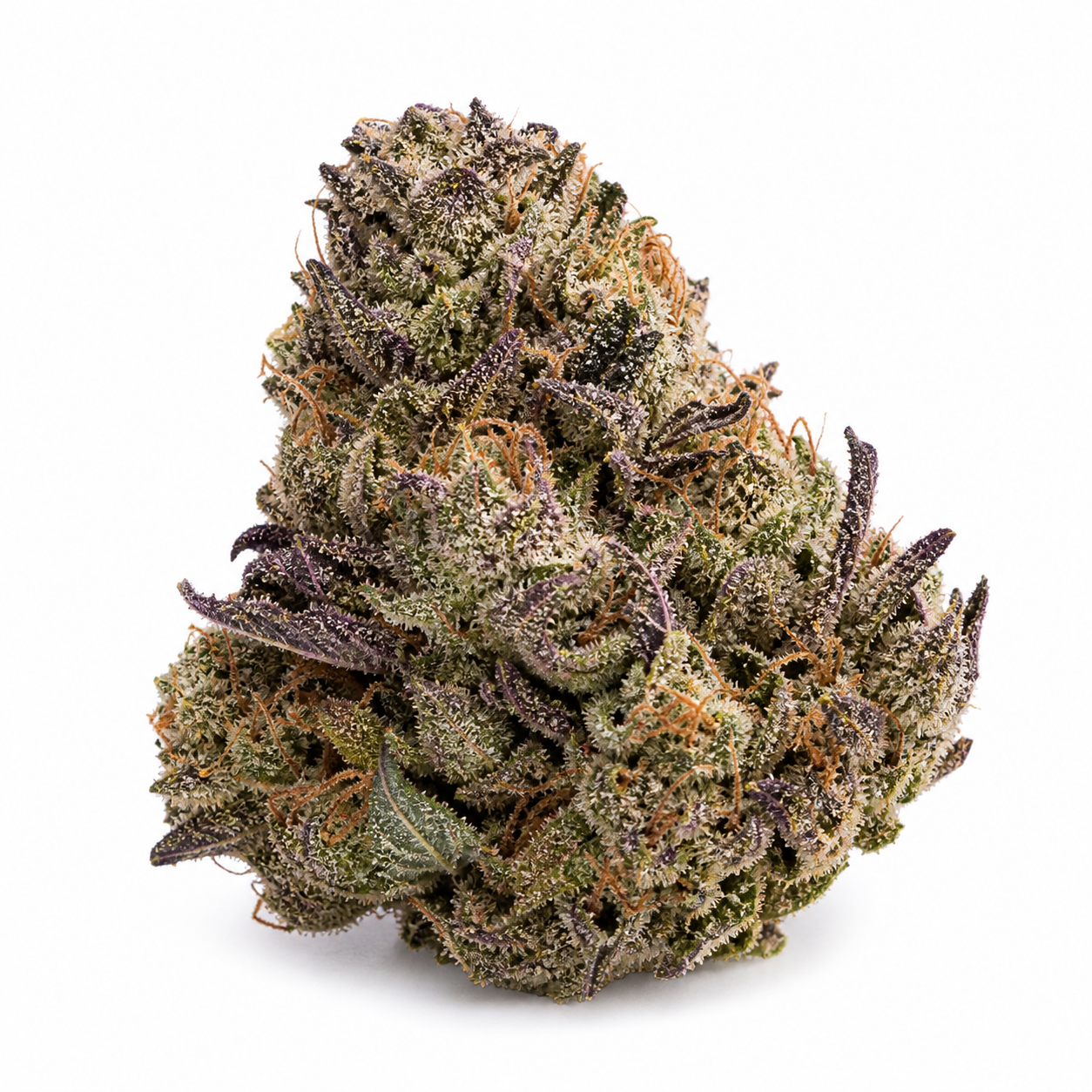 Cogollo de Auto Mimosa de 00 Seeds sobre fondo blanco, con forma cónica, hojas verdes y moradas y abundantes pistilos anaranjados.