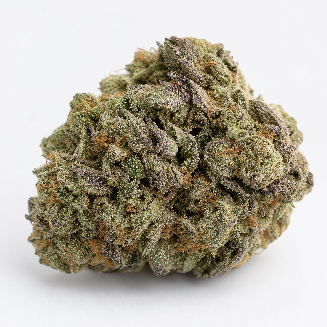 Cogollo de Auto Pineapple Muffin de Humboldt Seed Company, con hojas verdes y moradas y filamentos anaranjados sobre fondo blanco.