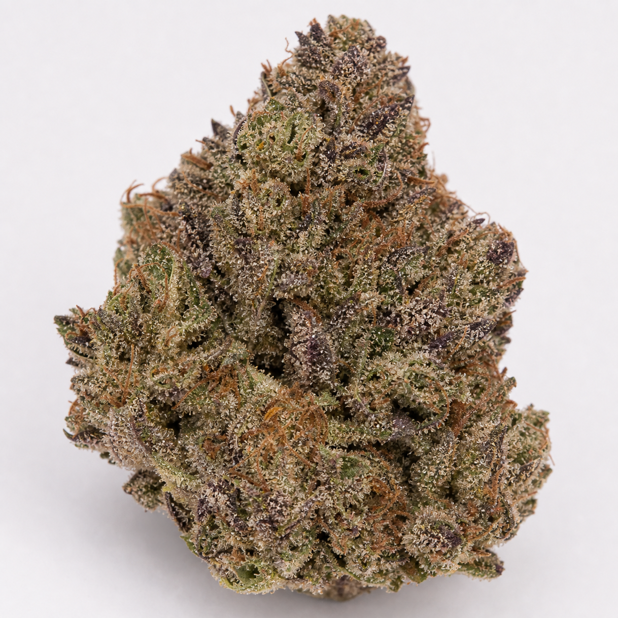Cogollo de Auto Purple en primer plano sobre fondo claro, con hojas verdes y moradas, filamentos anaranjados y abundantes tricomas.