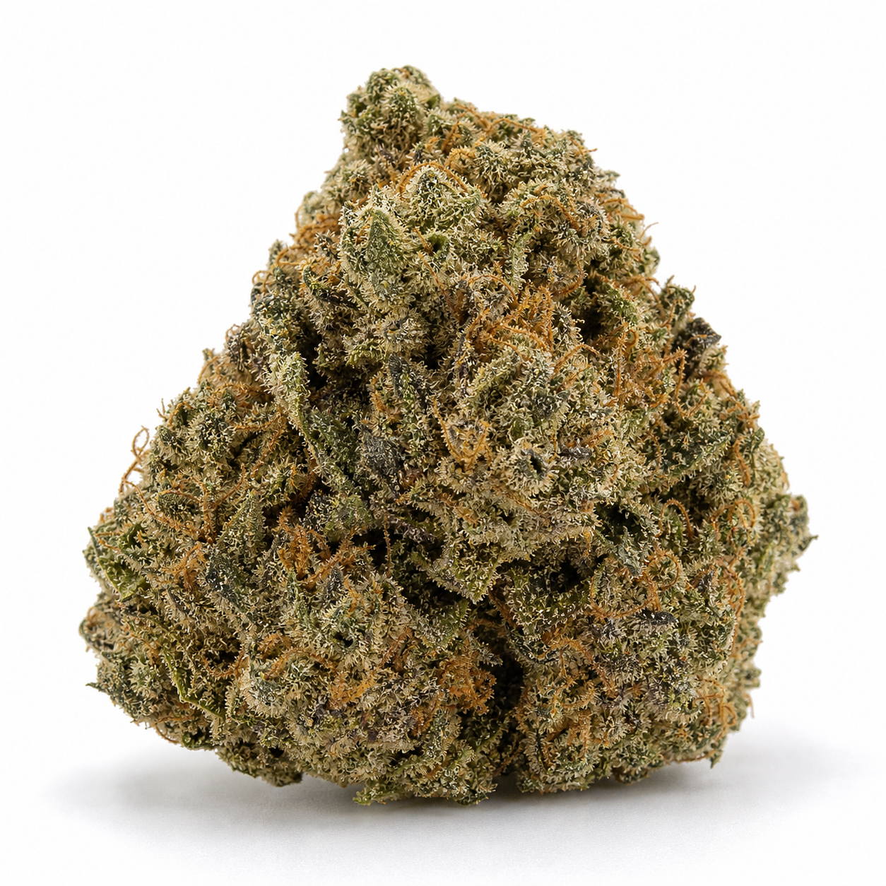 Cogollo de Auto SFV OG de Dutch Passion, de forma ancha y compacta, con tonos verdes, filamentos naranjas y superficie blanquecina.