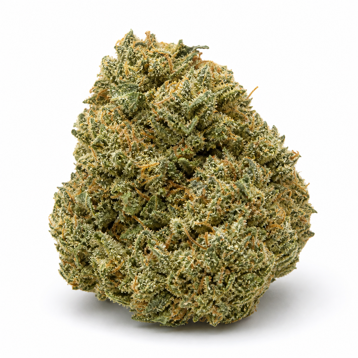 Primer plano de un cogollo de Auto Super Skunk de Original Sensible Seeds, verde y compacto, con filamentos anaranjados sobre fondo blanco.