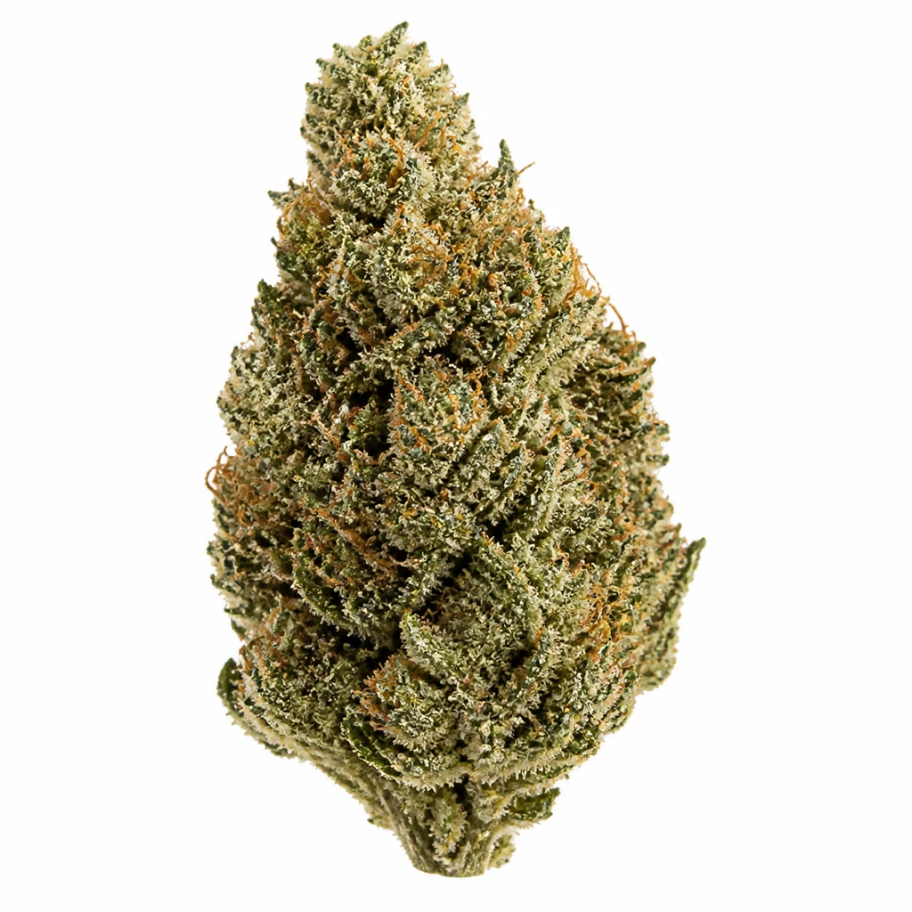 Ilustración de un cogollo verde con filamentos anaranjados sobre fondo blanco para la ficha de Auto Stardawg – Seed Stockers.