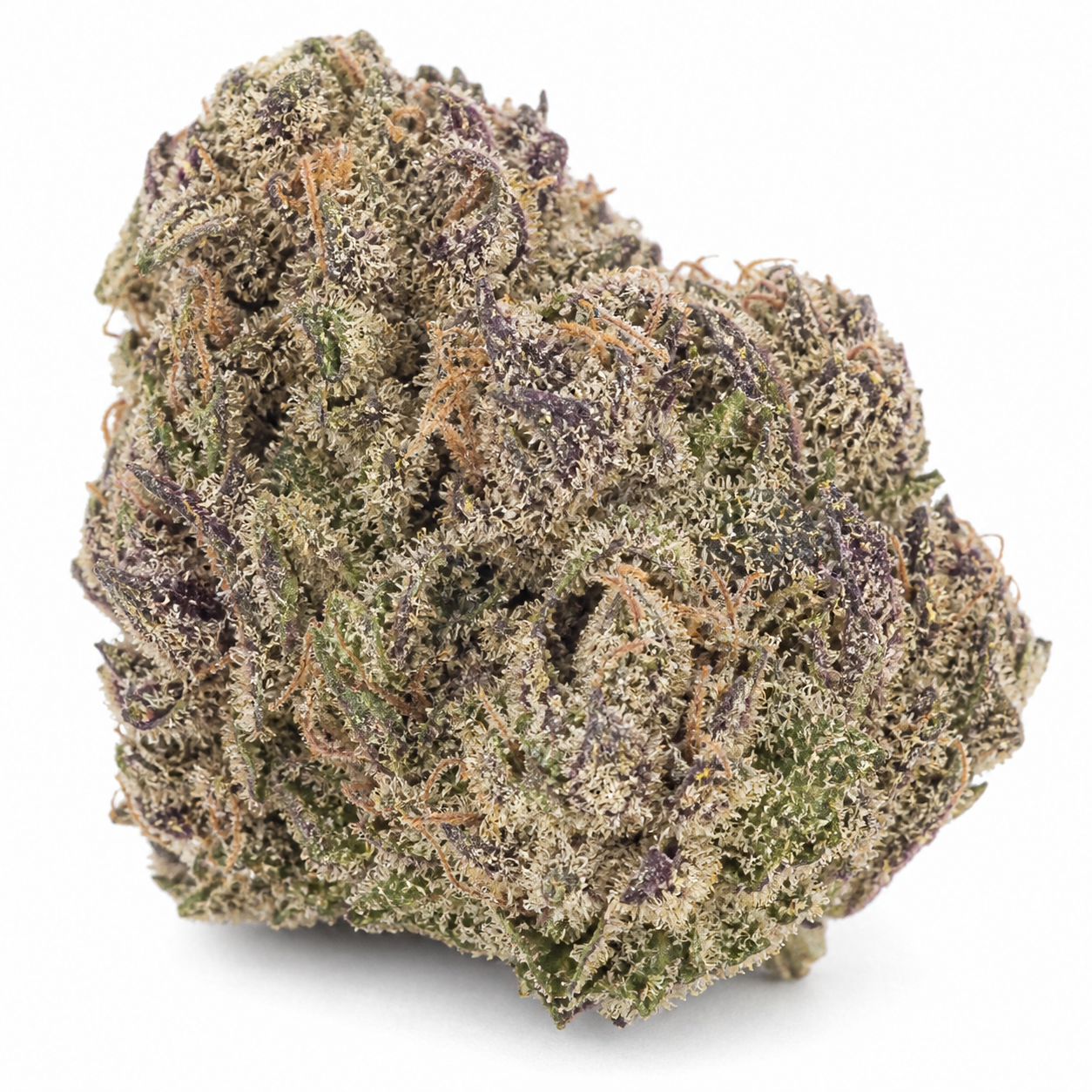 Primer plano de un cogollo de Auto Tropicana Cookies Purple, con tonos verdes y morados, filamentos anaranjados y superficie blanquecina.