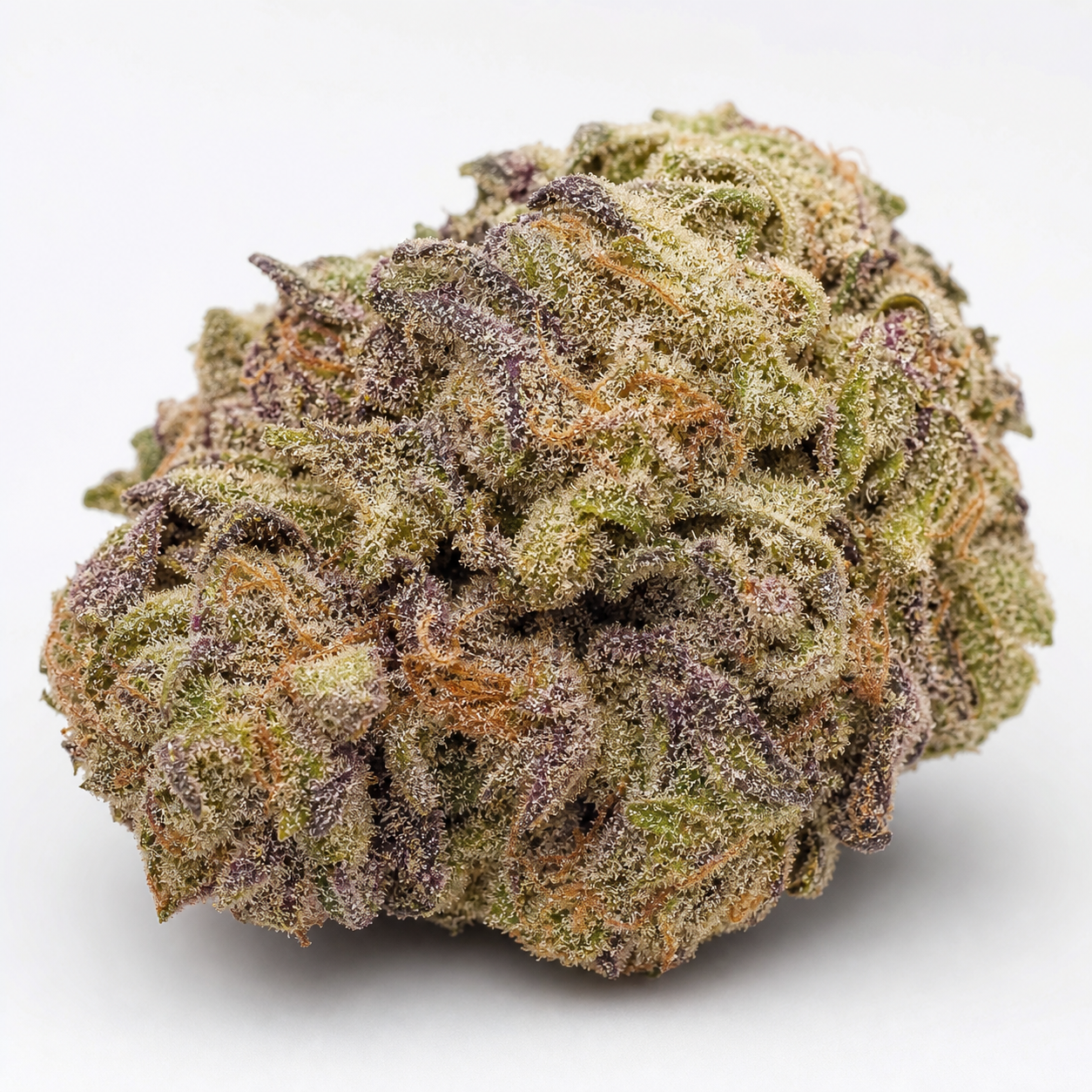 Cogollo Auto Vanilla Latte de Humboldt Seed Company en primer plano, con tonos verdes y morados, filamentos naranjas y cobertura blanquecina.