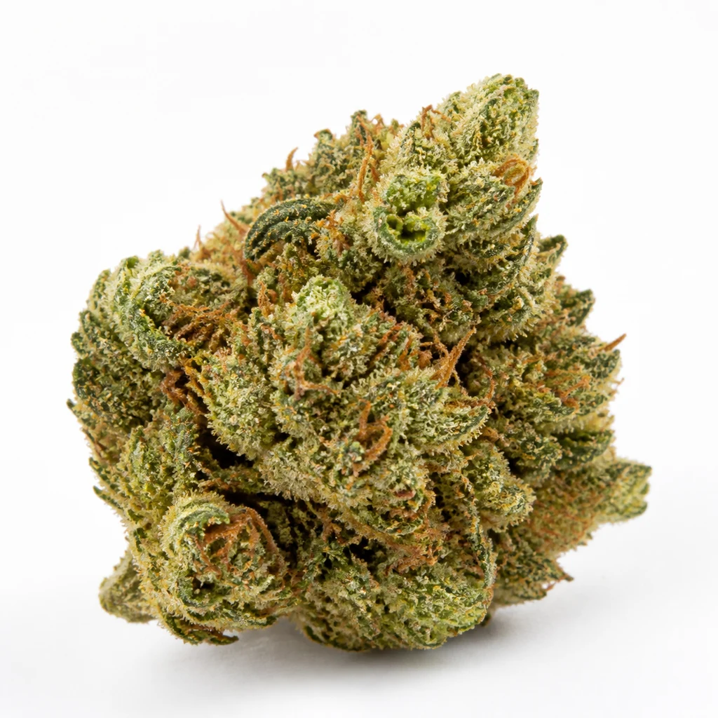 Ilustración de un cogollo verde con filamentos anaranjados y superficie cristalina para la ficha de Auto Watermelon OG de Advanced Seeds.
