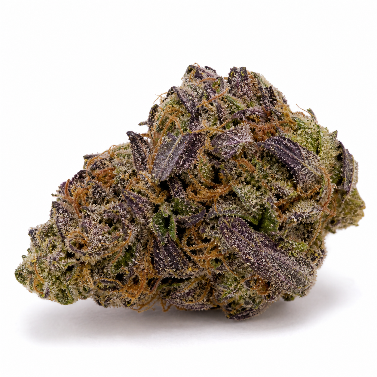 Cogollo de Auto White Widow x Big Bud de Female Seeds sobre fondo blanco, con hojas moradas, zonas verdes y filamentos anaranjados.