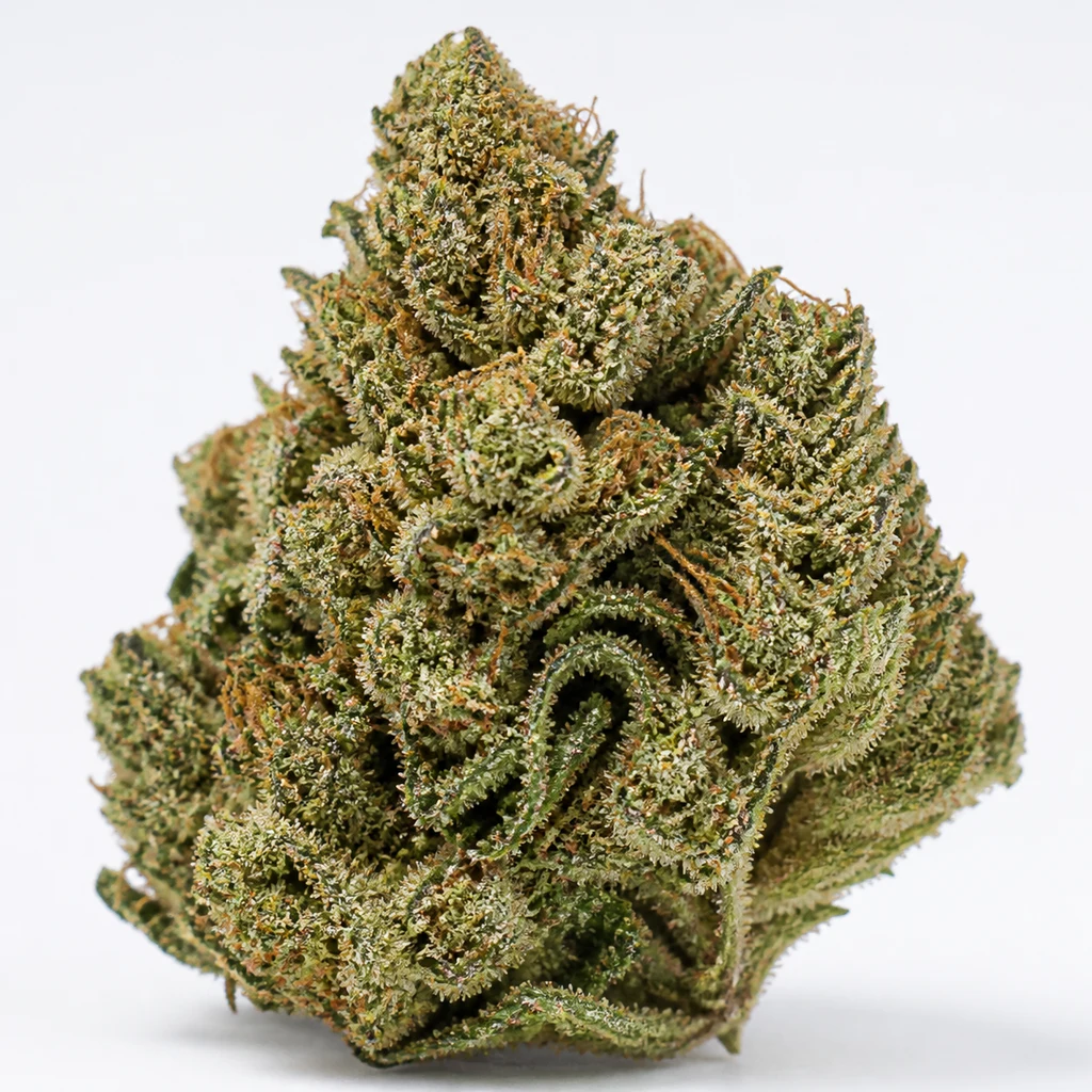 Ilustración de un cogollo verde con pistilos anaranjados y superficie cubierta de tricomas para la ficha de Auto White Widow XXL.