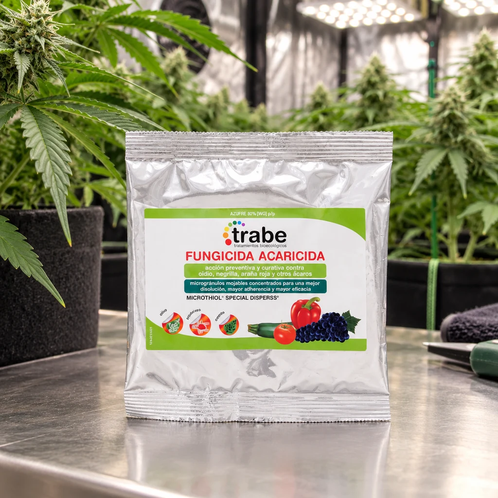 Escena generada con una bolsa plateada de azufre Trabe, etiquetada «Fungicida acaricida», sobre una mesa con plantas de cannabis al fondo. Escena generada con una bolsa plateada de azufre Trabe, etiquetada «Fungicida acaricida», sobre una mesa con plantas de cannabis al fondo.