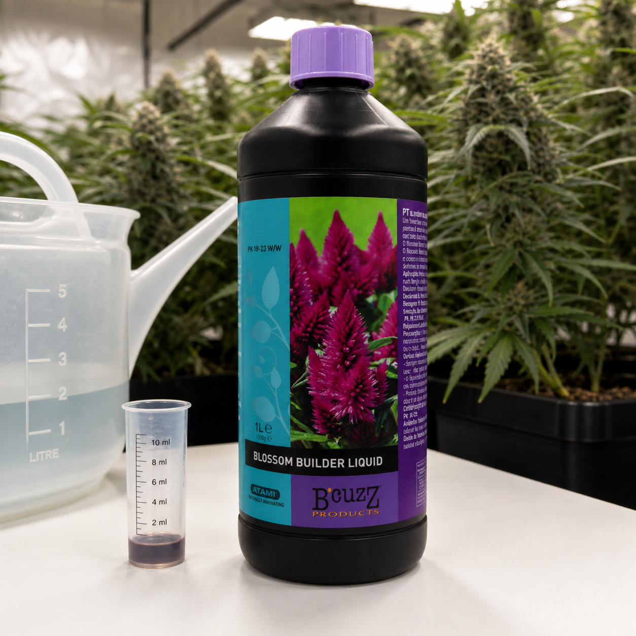 Botella de B’cuzz Blossom Builder Liquid con tapón violeta, junto a una probeta y una jarra con agua, delante de plantas.