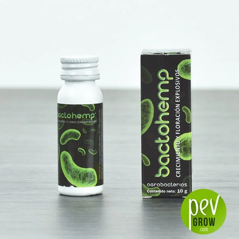 Frasco blanco de Bactohemp de Agrobacterias junto a su caja negra con motivos verdes y la indicación de contenido neto de 10 g.